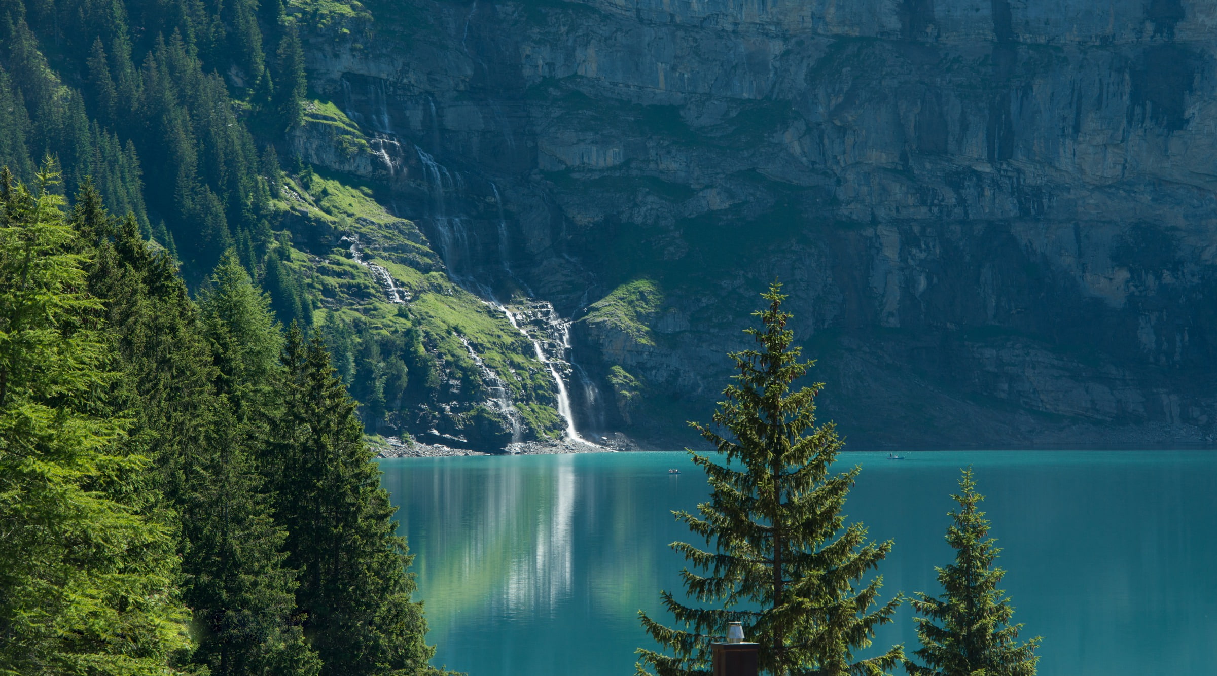 day, no people, scenics - nature, forest, woodland, environment, lake, land, pine tree, ate, lake Asinense, green color, Bernese Oberland, tranquility, HD Wallpaper