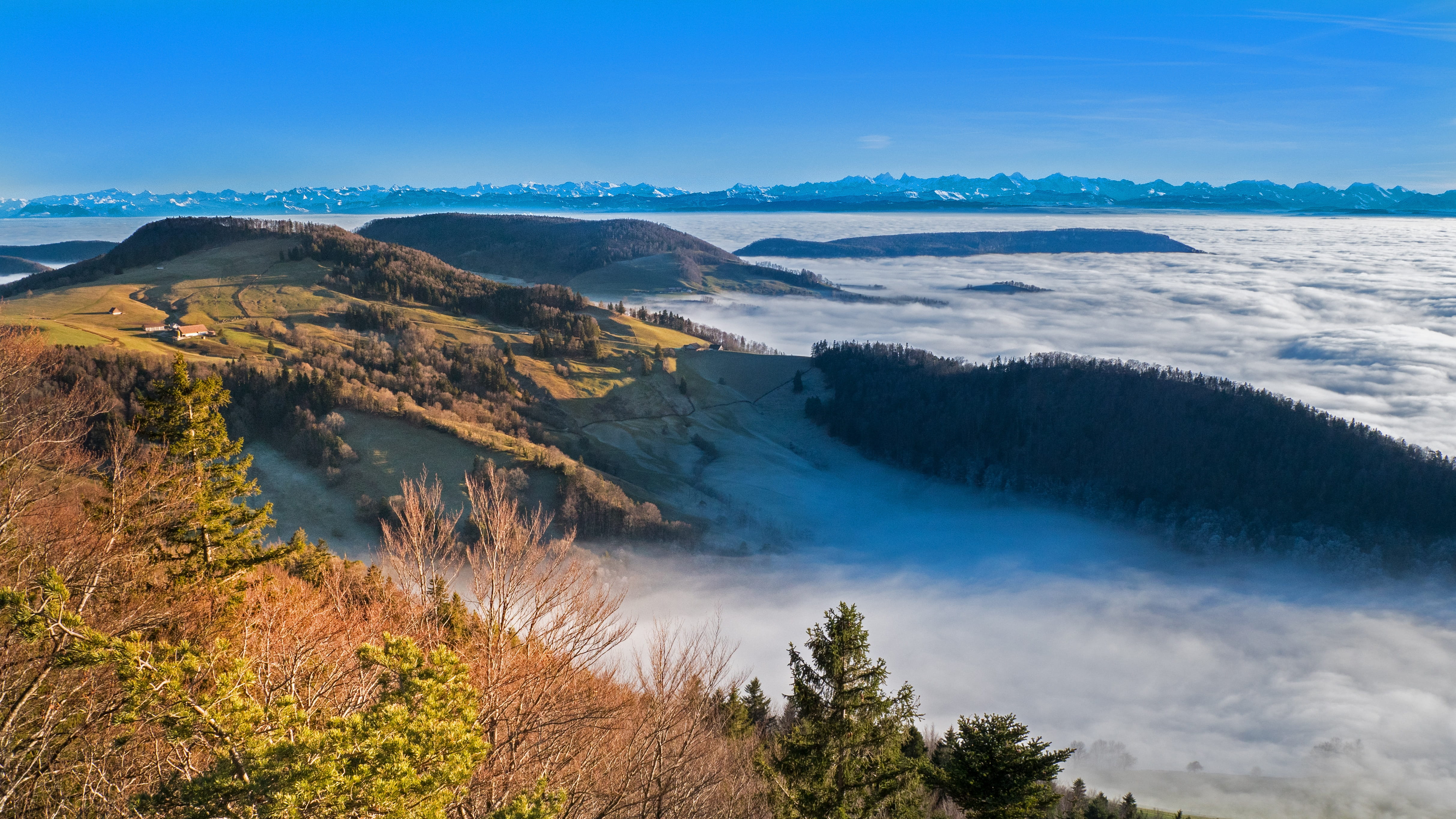 high angle view, outlook, beauty in nature, nature, sea of fog, idyllic, plant, environment, scenics - nature, non-urban scene, alps, no people, mountain, HD Wallpaper
