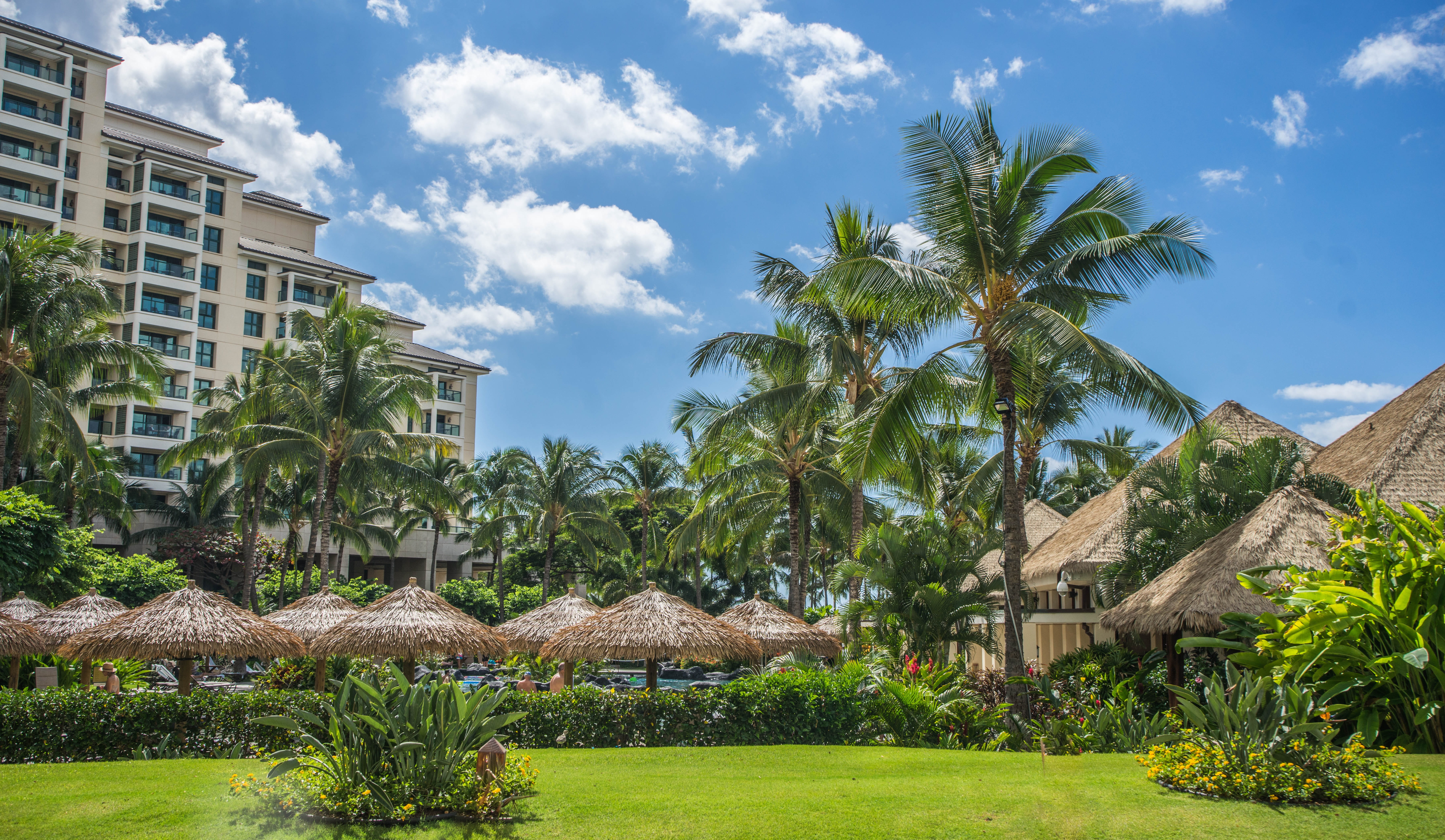 Resort, tropical, no people, ko olina, plant, huts, building exterior, sky, palm trees, roof, land, nature, residential district, clouds, home ownership, HD Wallpaper