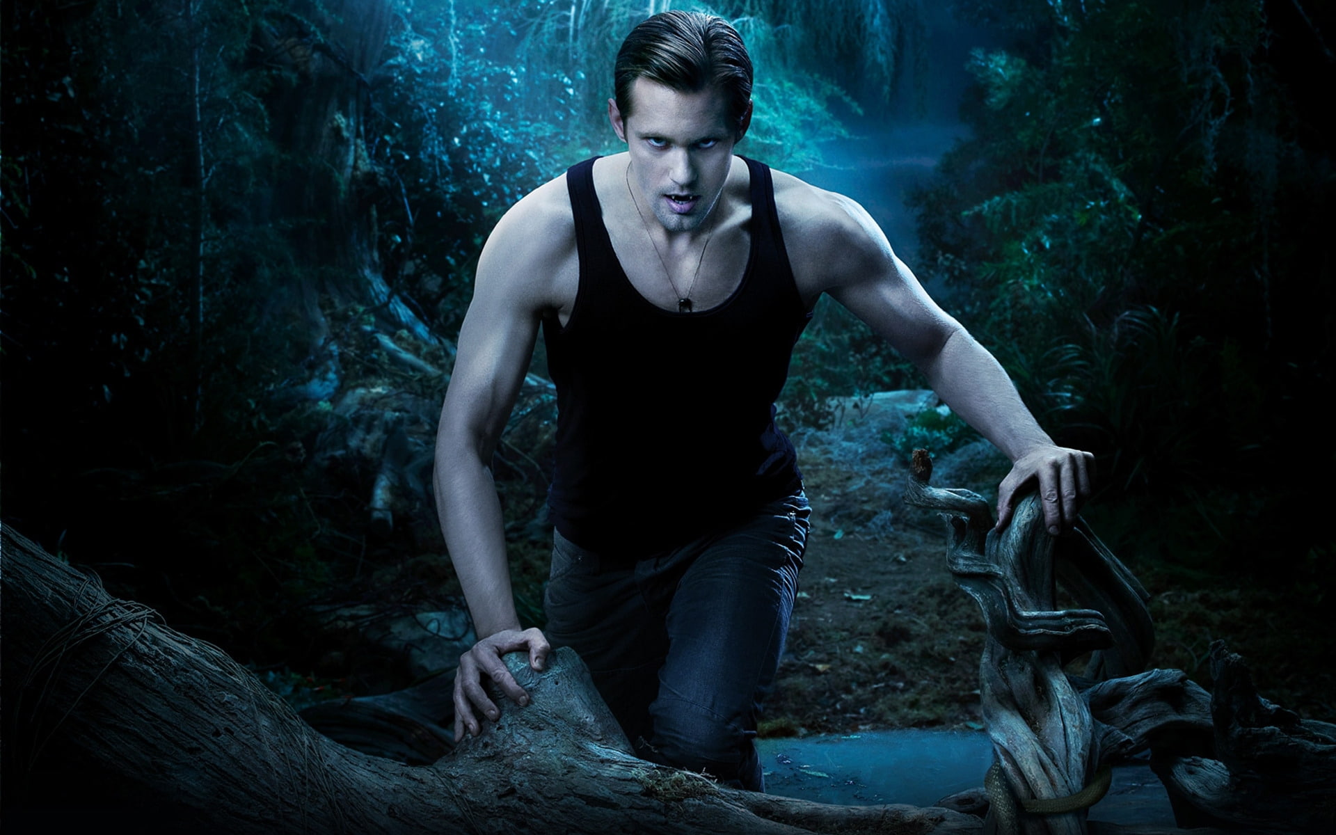 drama, 1080P, eric, mystery, fantasy, northman, blood, vampire, true, HD Wallpaper