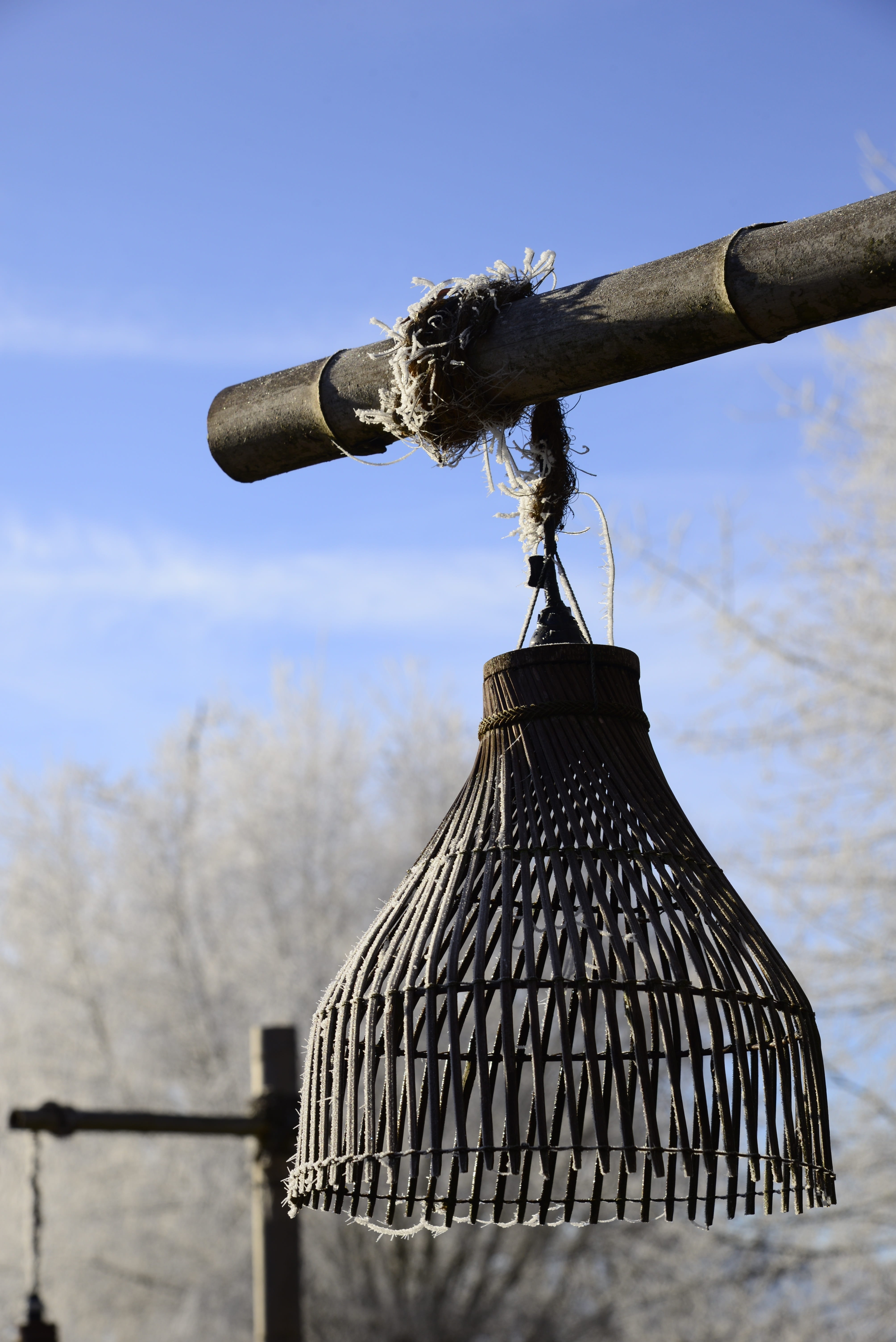 plant, winter magic, blue, no people, pattern, frozen, winter, built structure, tree, architecture, close-up, frost, sunlight, roof, metal, winter mood, Phone HD Wallpaper