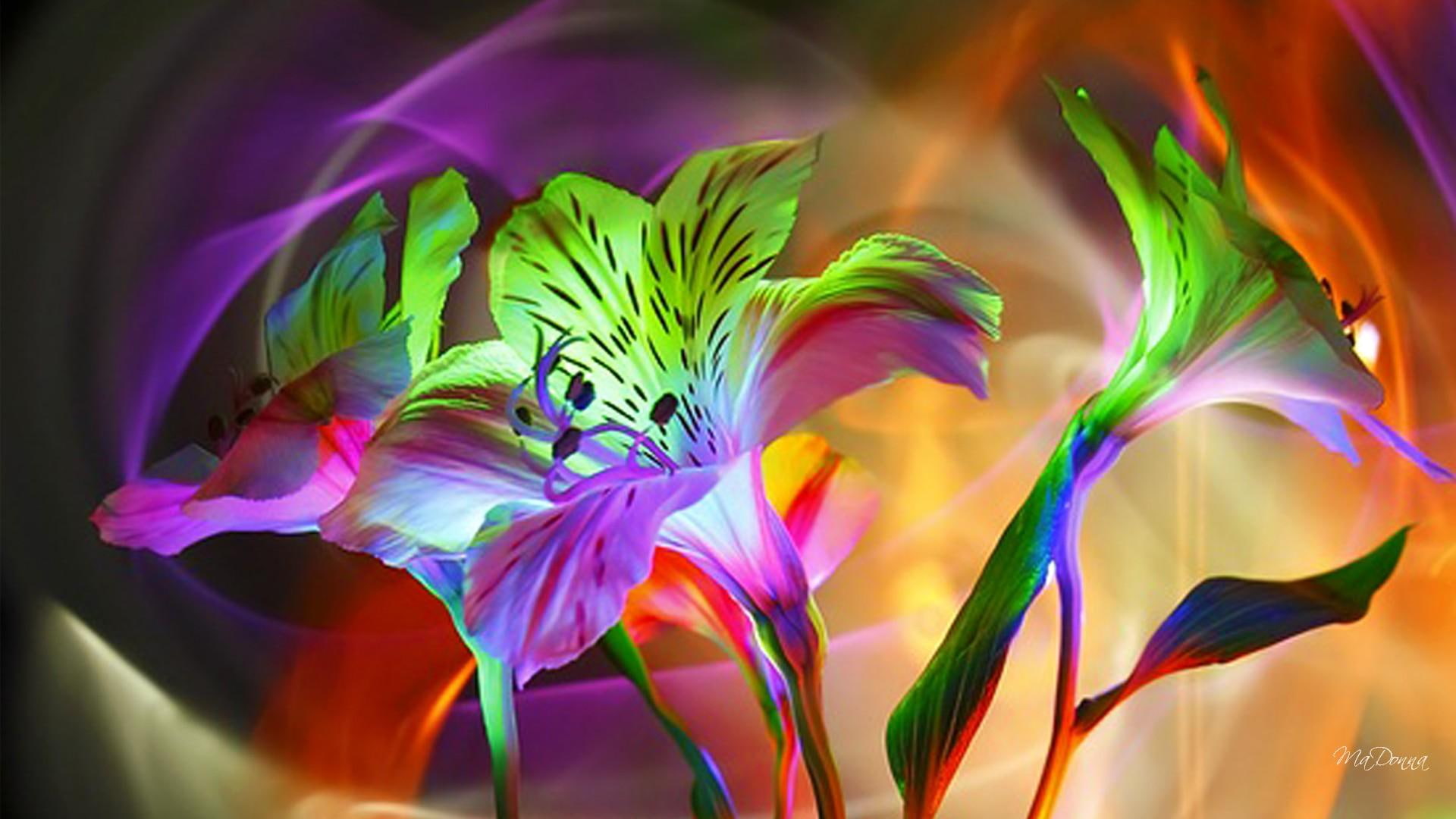 colorful, spring, magical, summer, colors, flowers, smoke, 1080P, nature and, floral, silk, abstract, fantasy, lily, HD Wallpaper