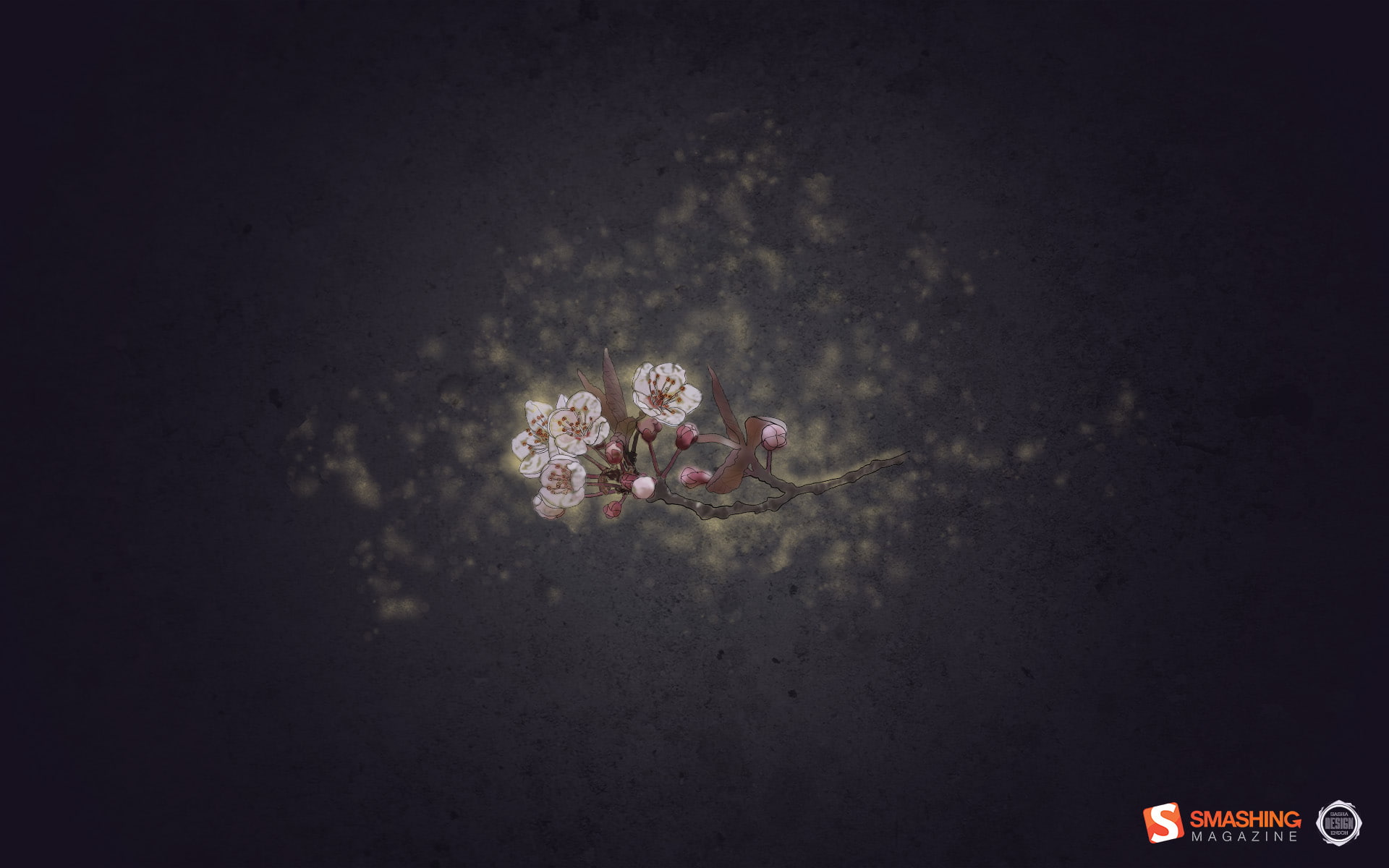 petaled, flower, white, 1080P, cherry, magic, artistic, blossom, HD Wallpaper