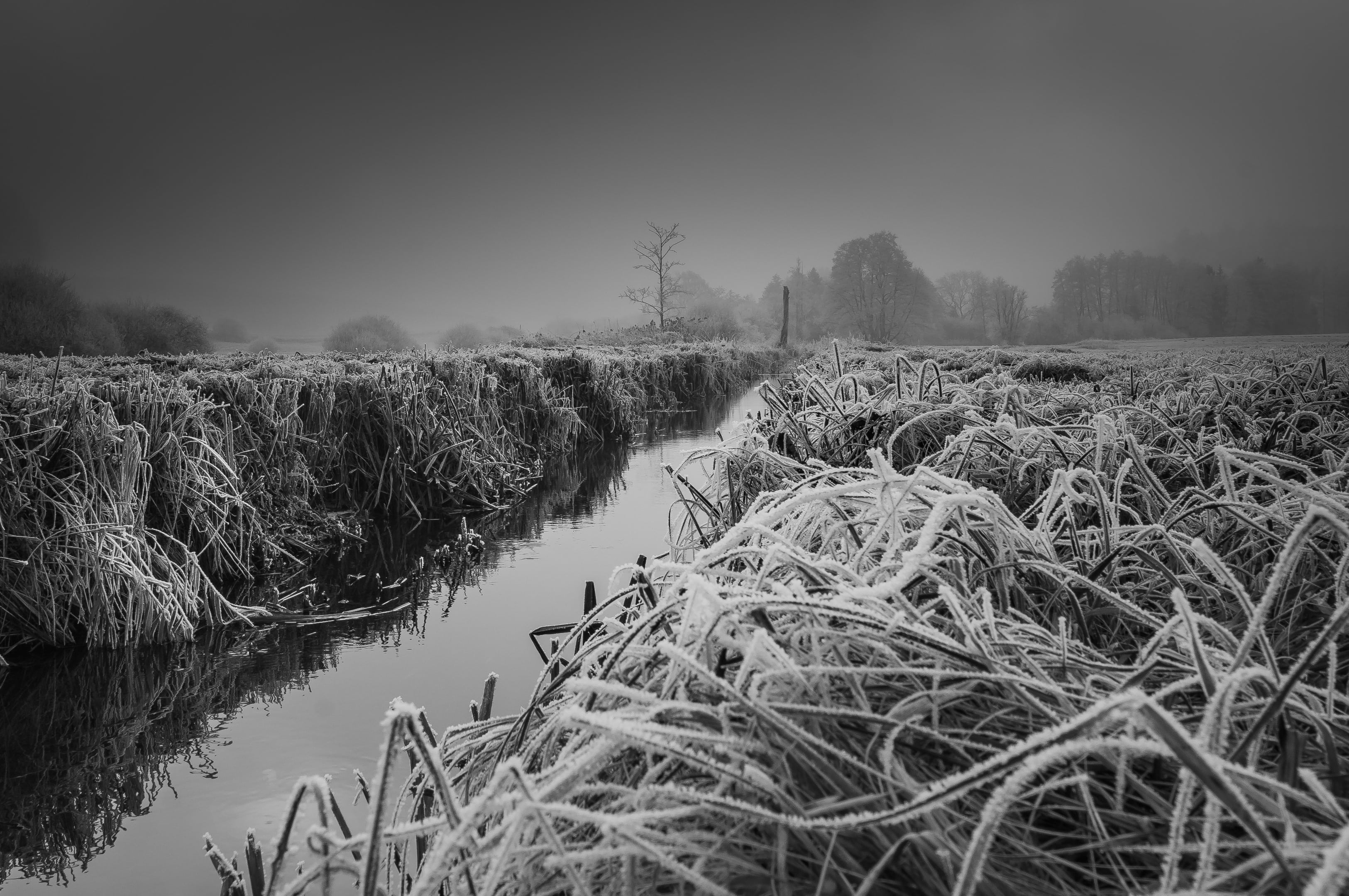 outdoors, cold, pollution, nature, agriculture, rural scene, landscape, snow, daybreak, frost, winter, plant, non-urban scene, field, ice flowers, tranquil scene, HD Wallpaper