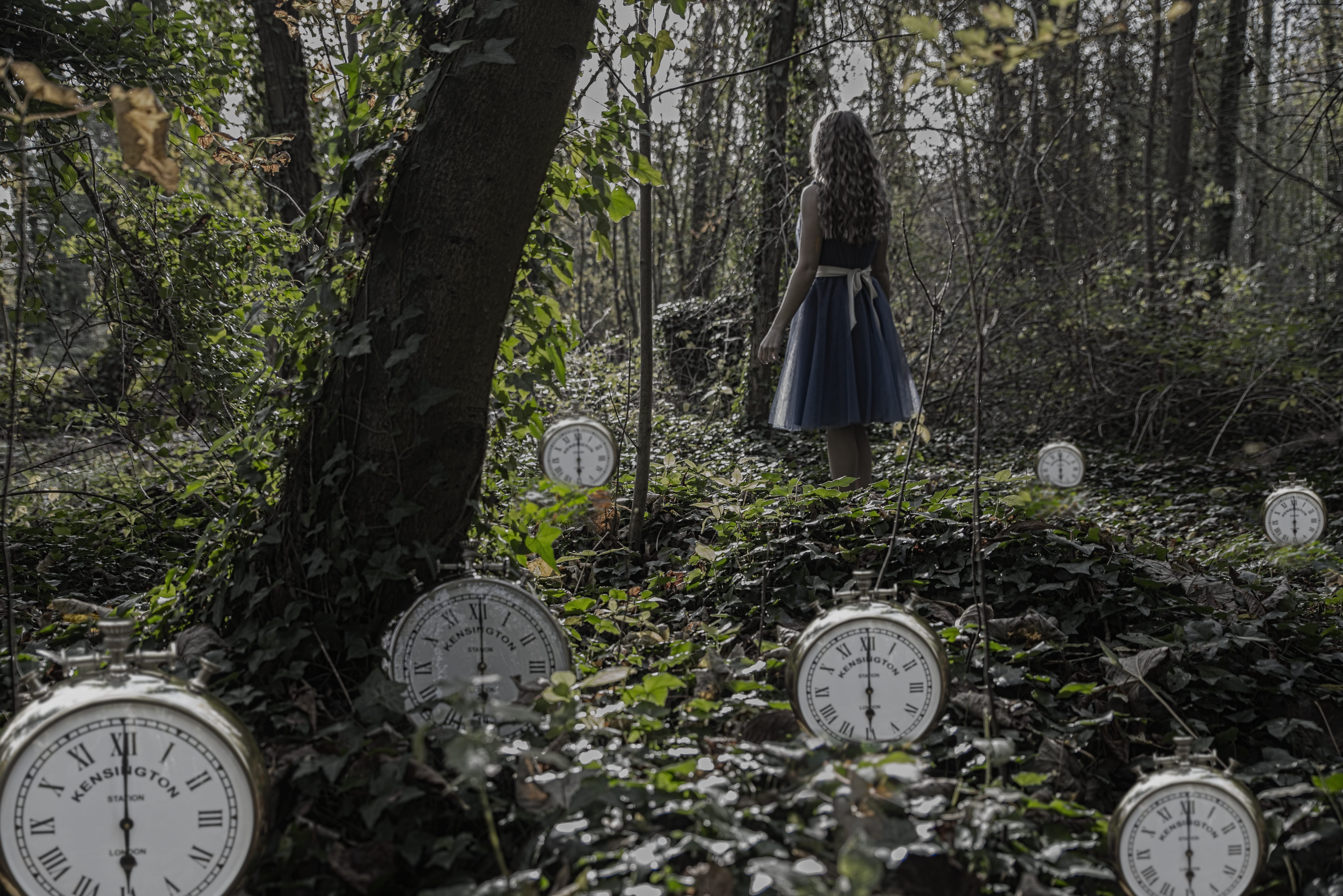 trunk, tree trunk, time, growth, outdoors, woods, alice, no people, disney, wonderland, forest, mental health, light, transportation, blue, old, clock, HD Wallpaper