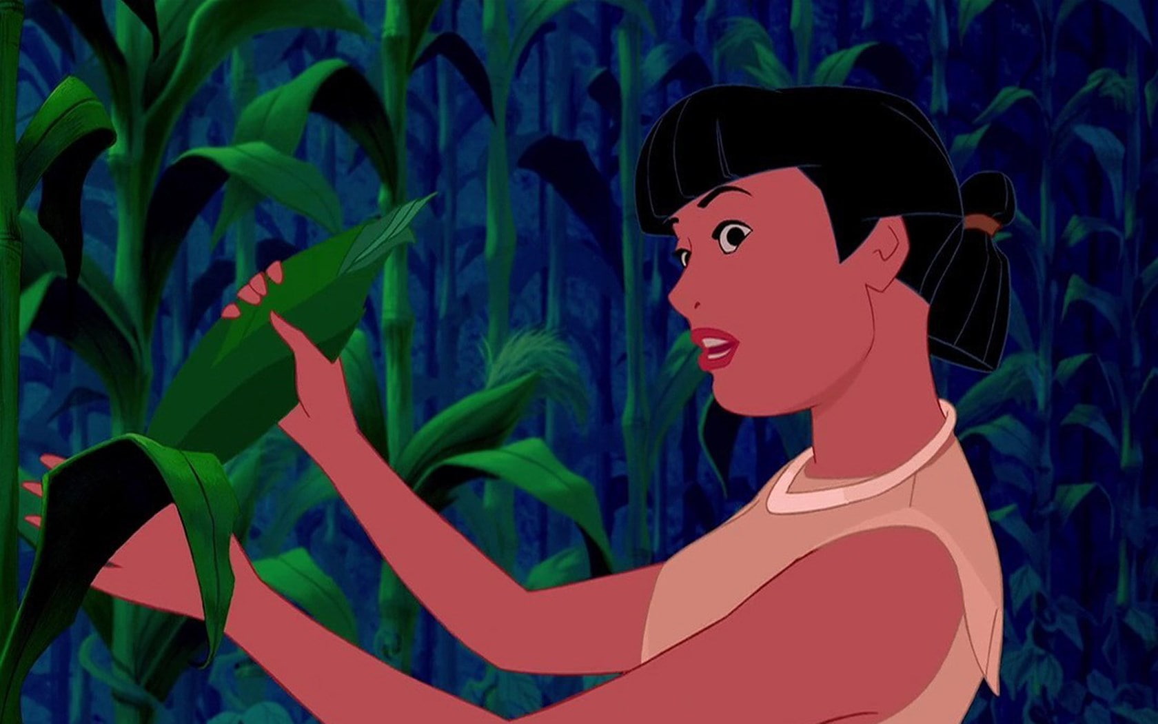 pocahontas, 720P, HD Wallpaper