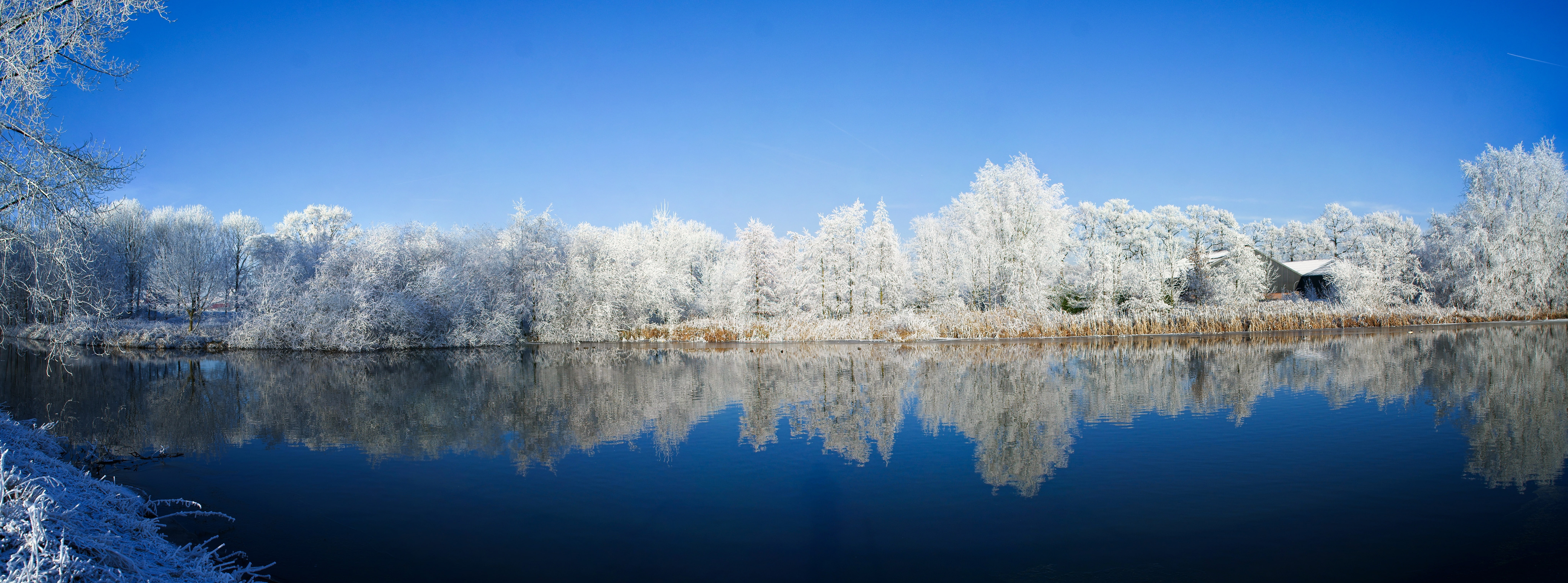 Rhijnauwen, White, coniferous tree, pine tree, Utrecht, Frozen, Amazing, Winter, tranquility, 8K, Kromme Rijn, Scene, Blue, Heaven On Earth, lake, clear sky, HD Wallpaper