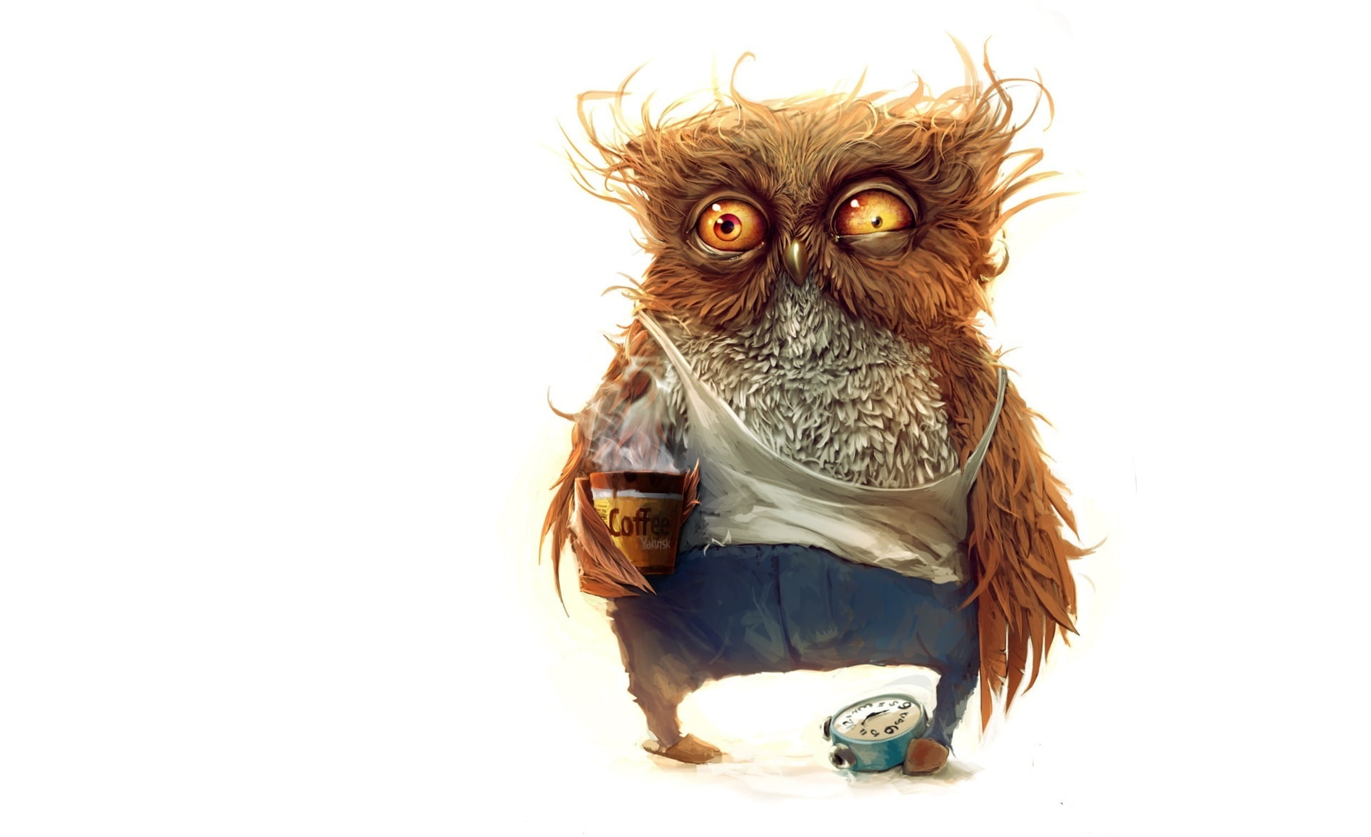 bird of prey, domestic, white background, illustration, brown, vertebrate, indoors, studio shot, animal head, Hobo, portrait, young animal, Funny, domestic animals, HD Wallpaper