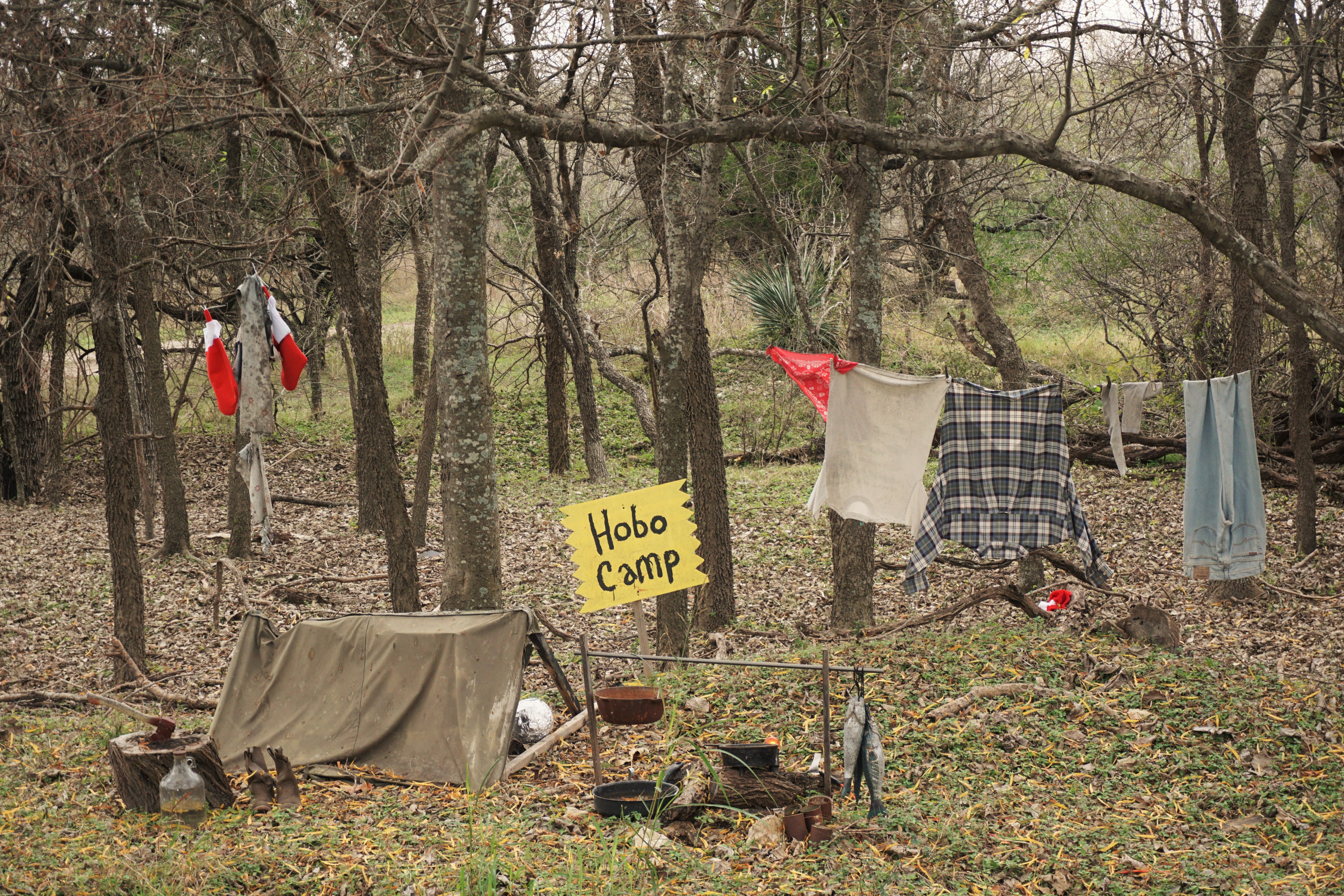 outdoors, hanged, communication, living, camp, wilderness, nature, sign, 5K, no people, plant, tree, text, growth, clothes, field, land, forest, bare tree, HD Wallpaper