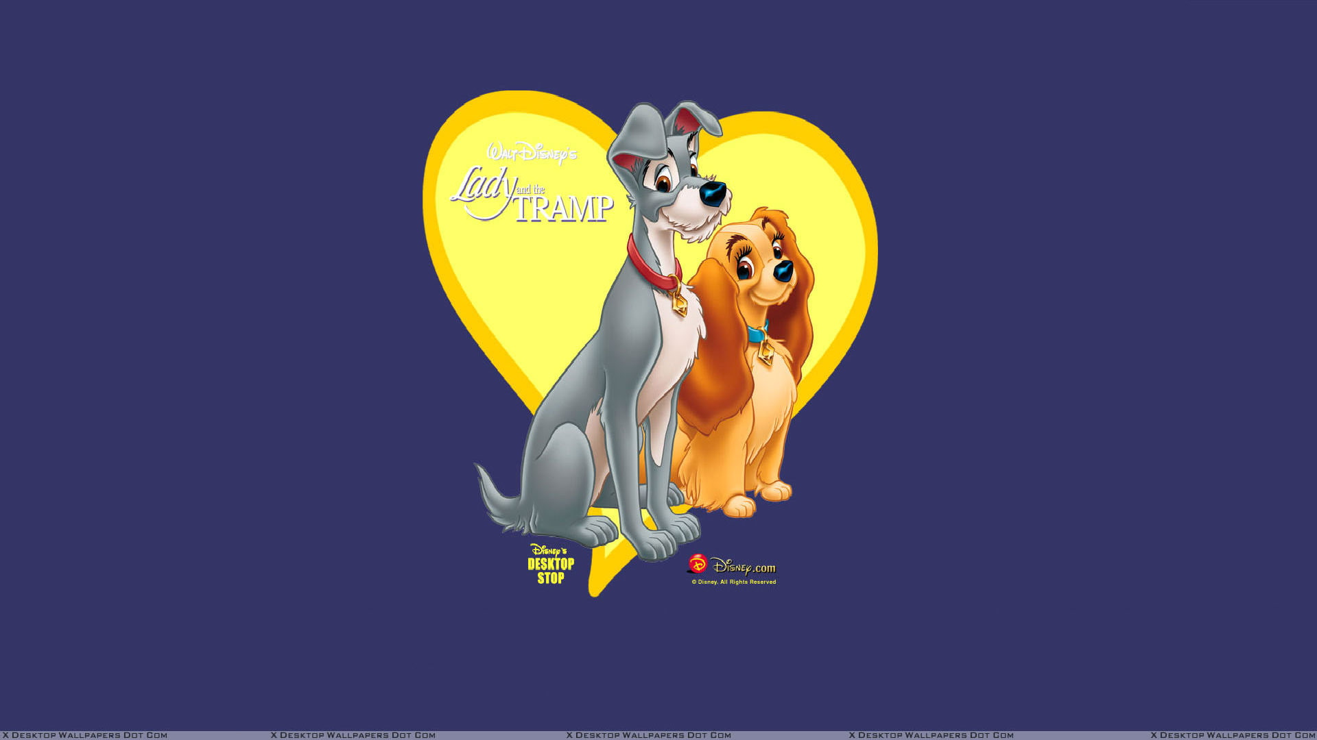 disney, 1080P, tramp, lady, HD Wallpaper