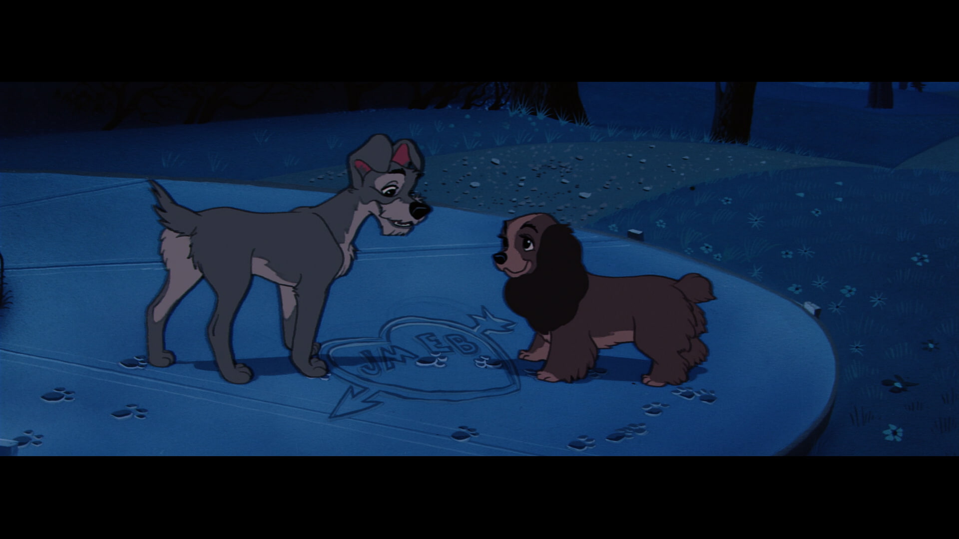 lady, disney, 1080P, tramp, HD Wallpaper
