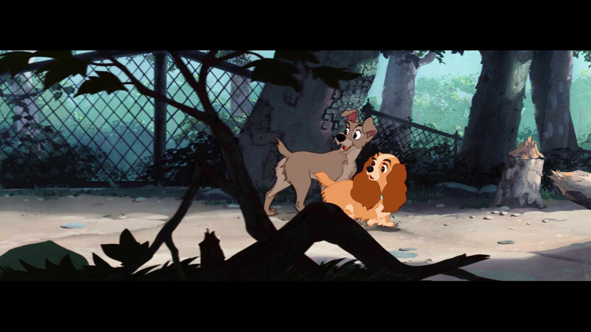 1080P, lady, tramp, disney, HD Wallpaper