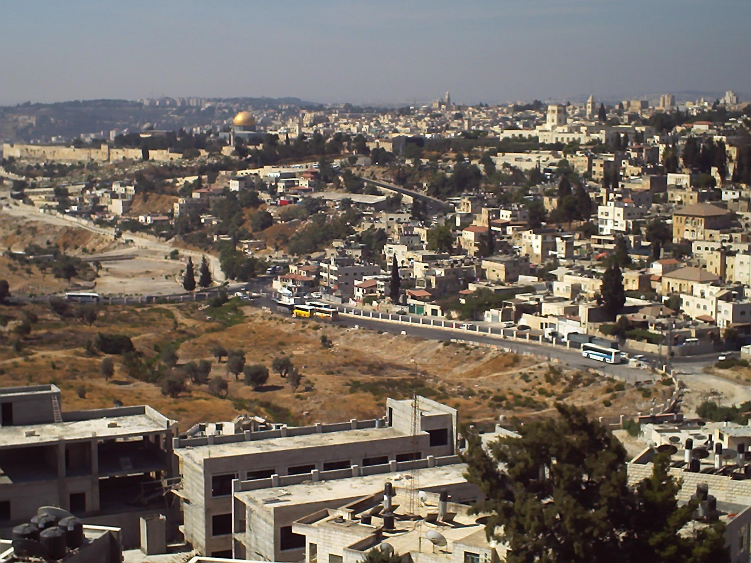 jerusalem, other, city, 2K, animals, HD Wallpaper