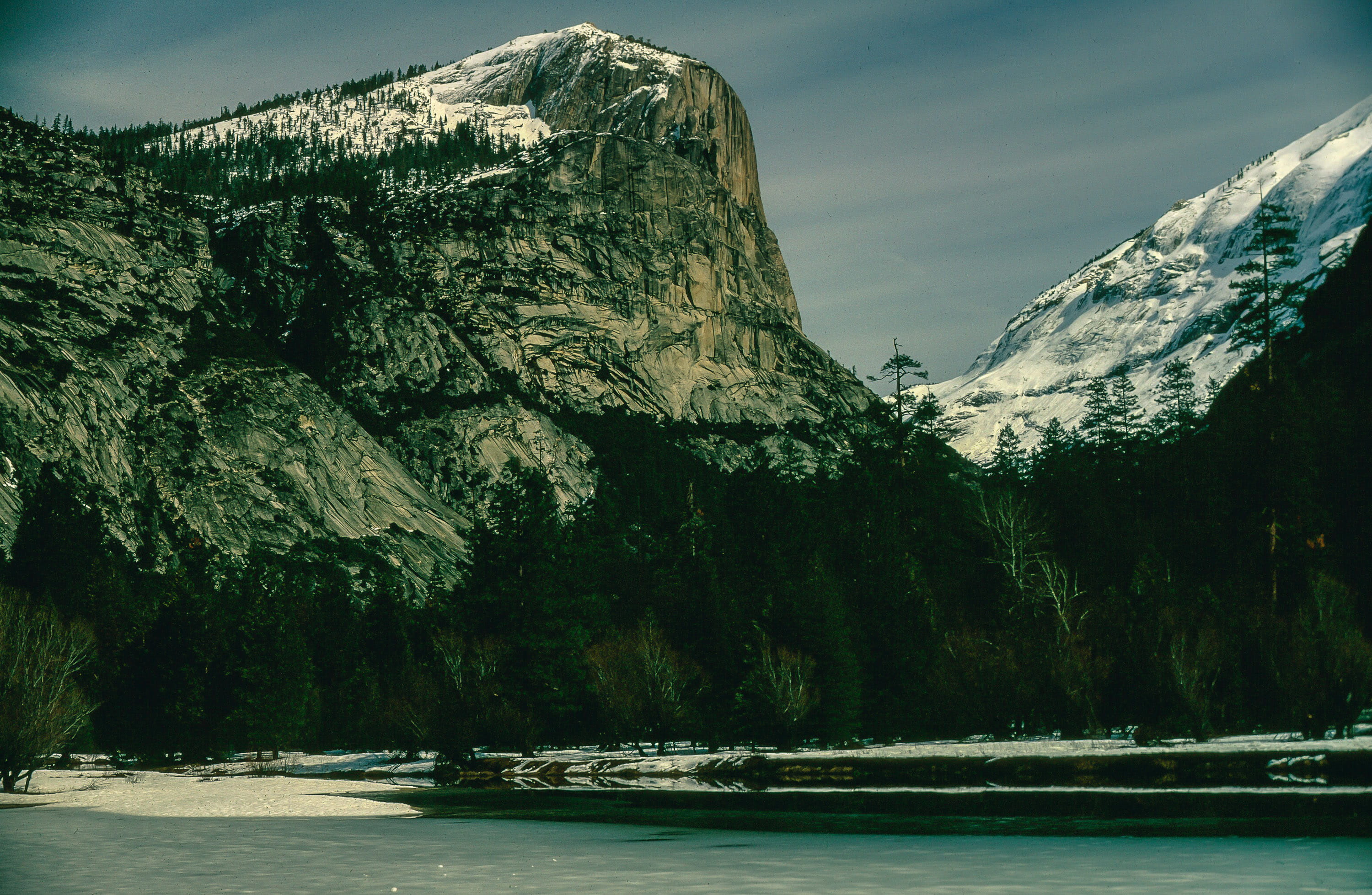 mountain range, national park, california, national, falls, growth, snow, tranquility, tranquil scene, green, half dome, winter, landscape, outdoors, tree, HD Wallpaper