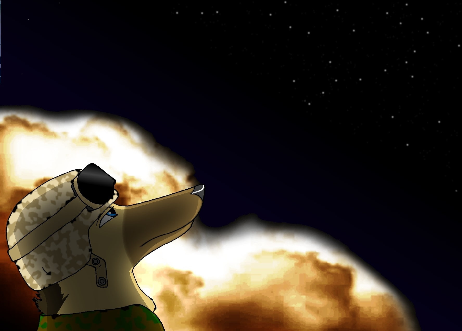 animals, drawnings, artwork, explosions, bombs, dogs, stars, art, digital, 720P, x, anthro, hd, baghdad, HD Wallpaper