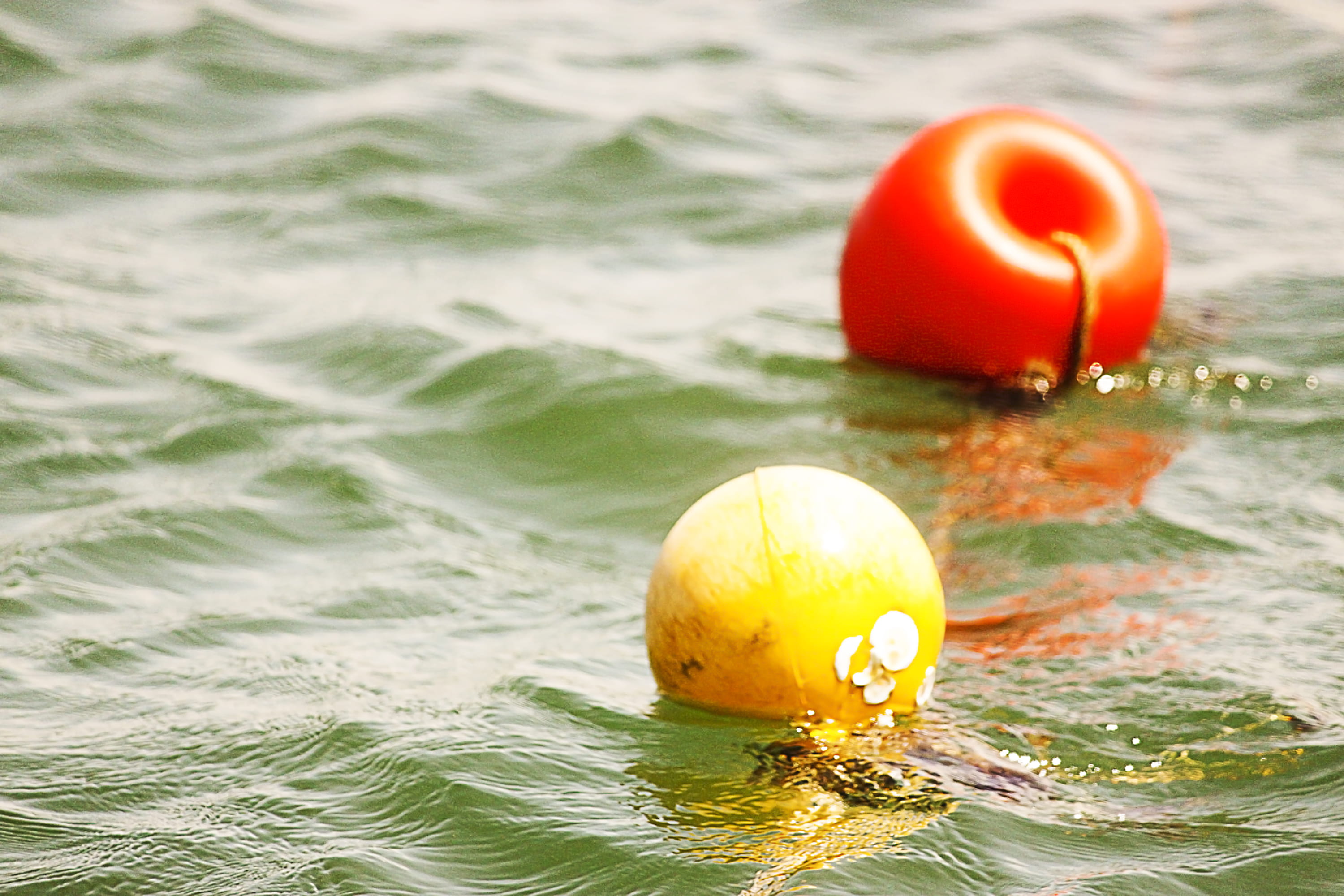 mussulo, floating on water, fruit, 2K, angola, orange color, close-up, outdoors, sun, sea, beauty in nature, nature, buoy, belas, rippled, water, no people, HD Wallpaper