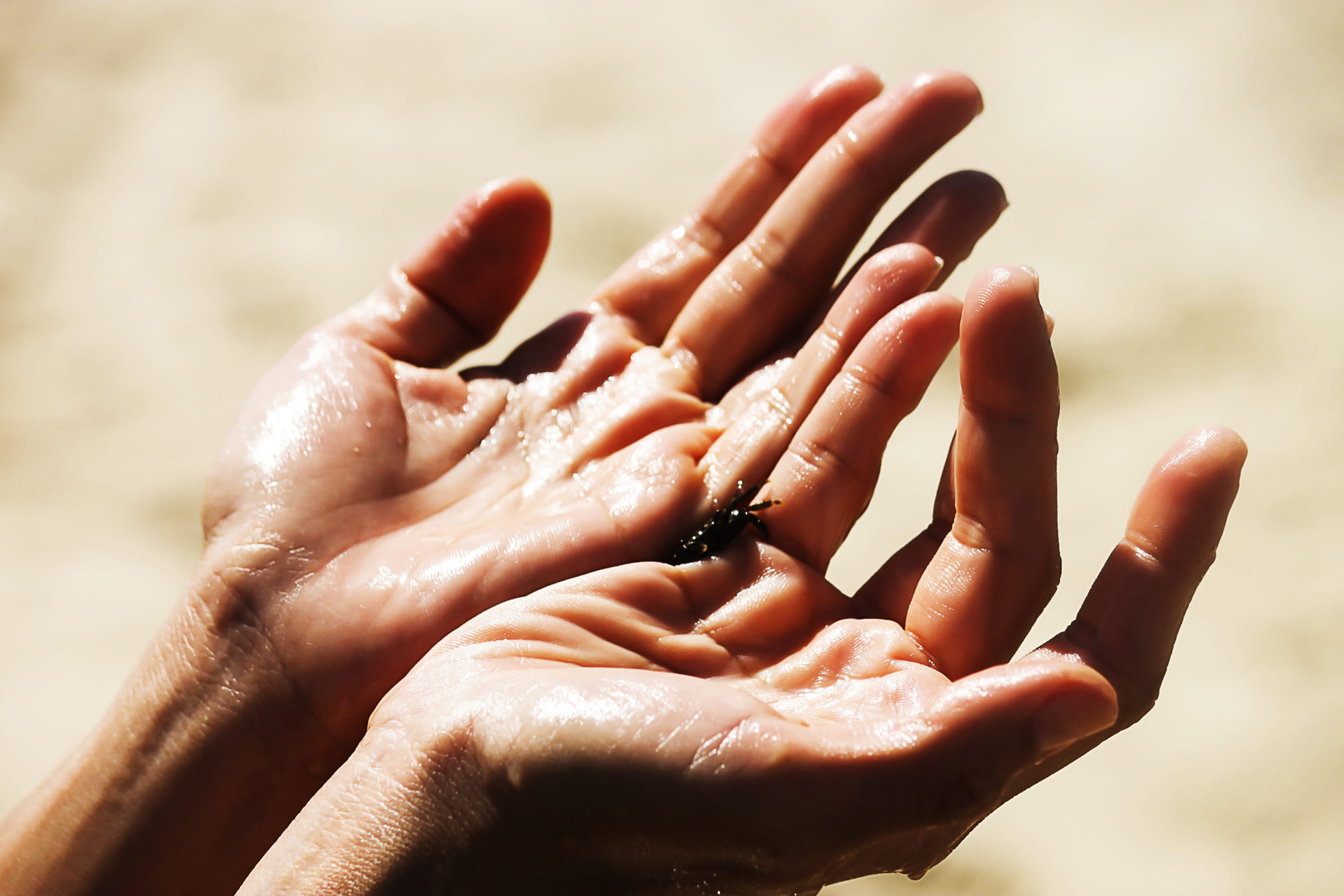2K, finger, outdoors, sea, day, close-up, body part, angola, real people, personal perspective, lifestyles, sun, human finger, belas, human hand, people, HD Wallpaper