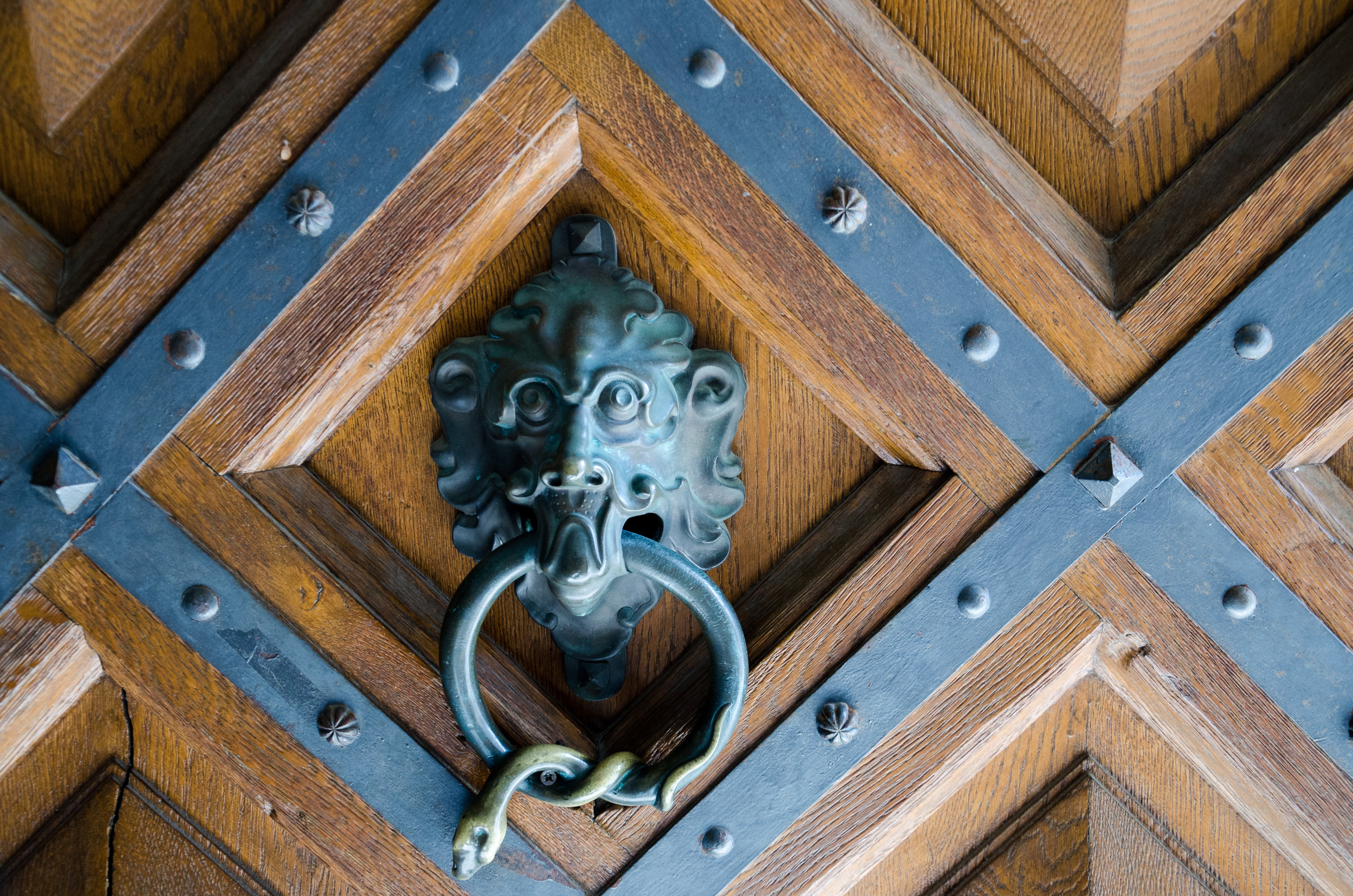 close-up, princely, creativity, metal, door, residenzschloss, pattern, closed, shape, 4K, knob, design, wood - material, swabian alb, mammal, art and craft, HD Wallpaper