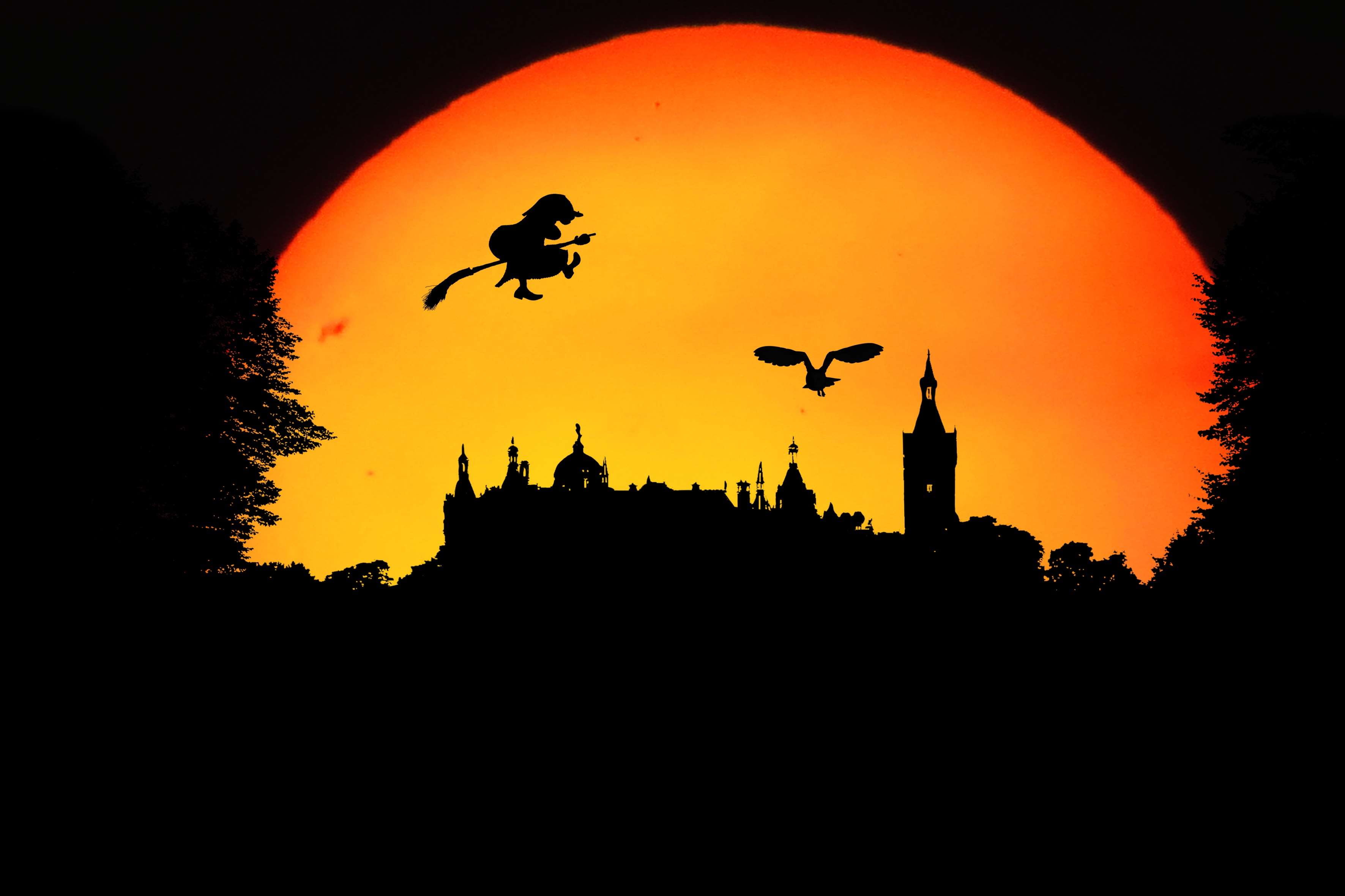 fly, orange color, animals in the wild, mystical, owl, dream world, flying, nature, silhouette, sunset, night, castle, walpurgisnacht, landscape, 2K, romantic sky, HD Wallpaper