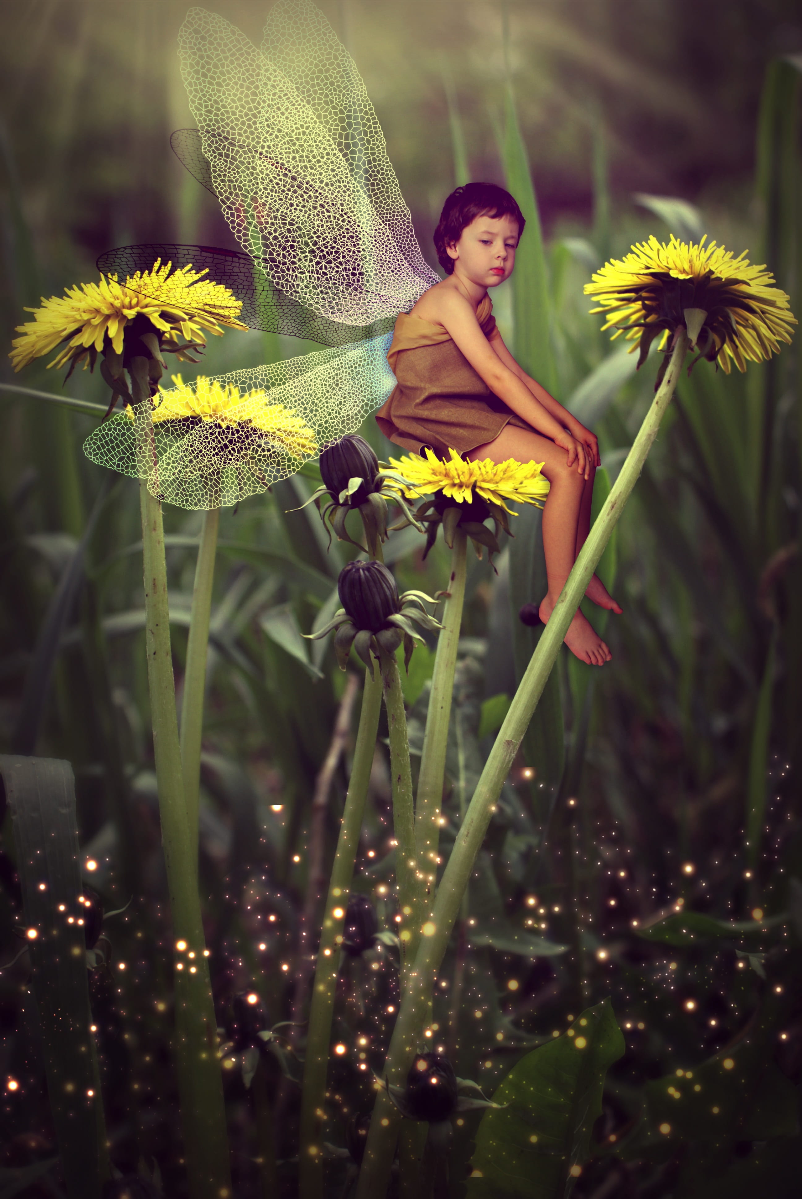wings, baby, beautiful woman, bug, grass, real people, beauty in nature, flowering plant, beauty, young adult, plant, flower head, illustration, freshness, Phone HD Wallpaper