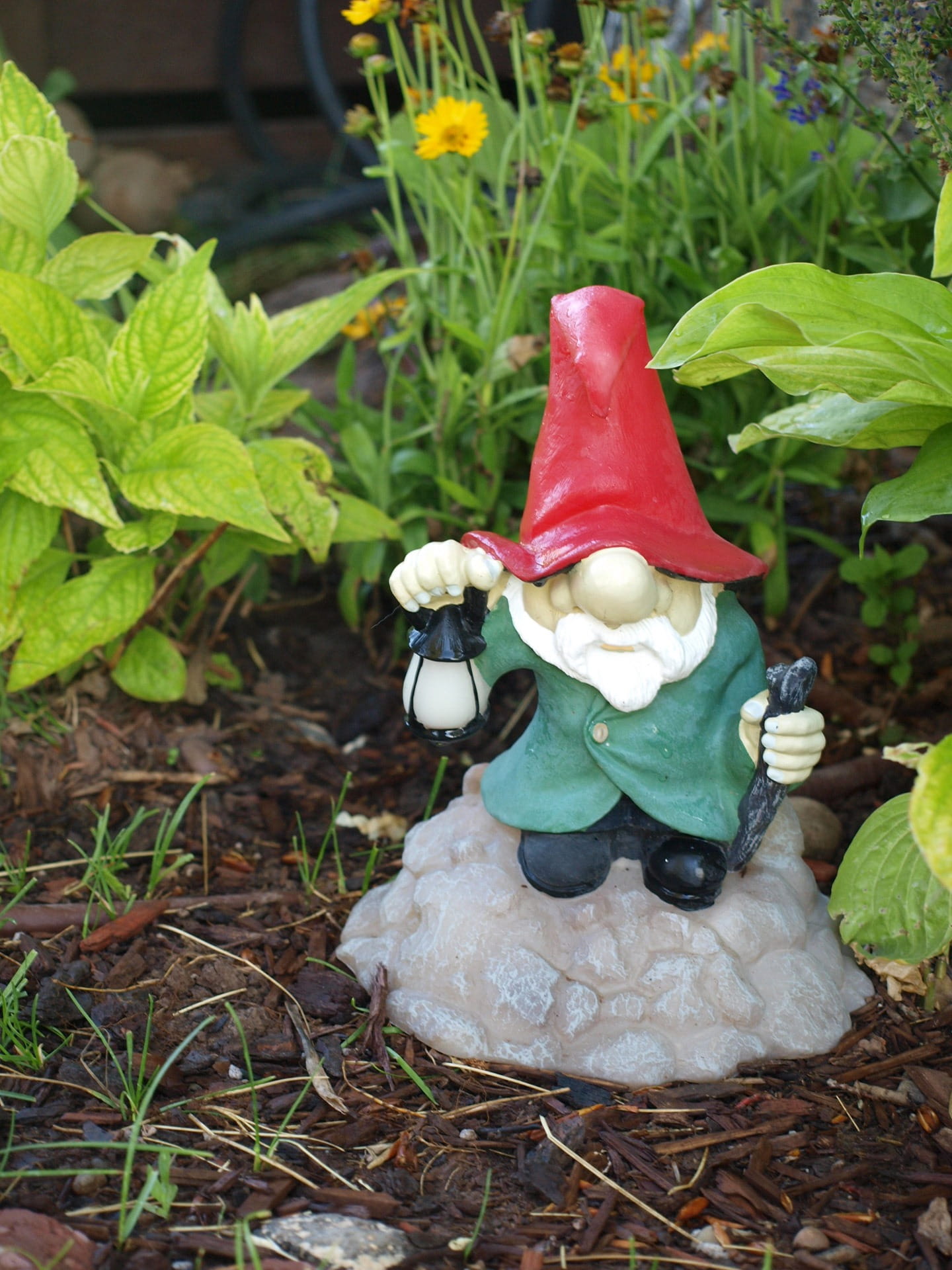 yard, creativity, Gnome, decoration, focus on foreground, art and craft, nature, figurine, grass, growth, gardening, plant, stone, no people, plant part, Phone HD Wallpaper