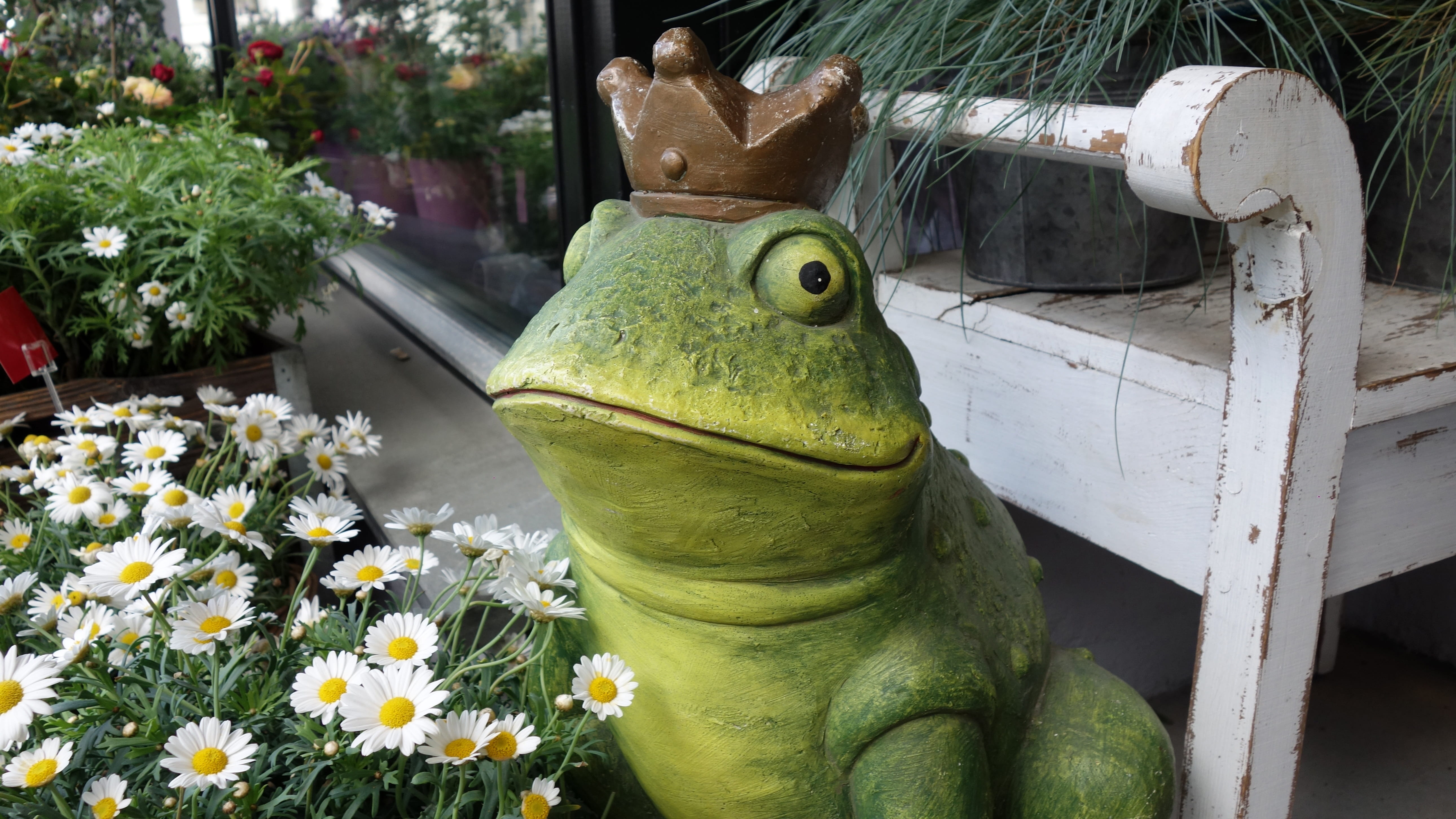 focus on foreground, freshness, green color, sculpture, animal themes, frog, king, day, no people, art and craft, close-up, nature, 5K, animal, growth, HD Wallpaper