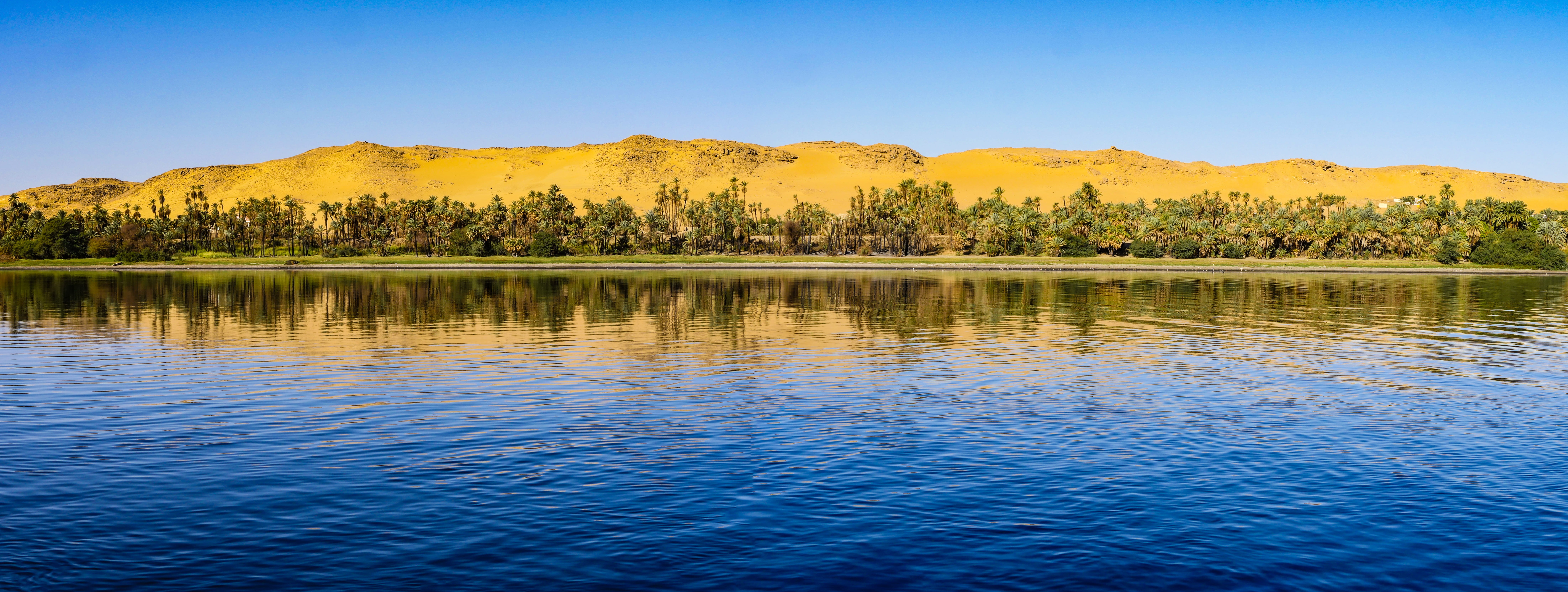 mountain, mirroring, clear sky, sky, plant, bank, sunny, desert, beauty in nature, reflections, nature, river, land, landscape, palm trees, tranquility, HD Wallpaper