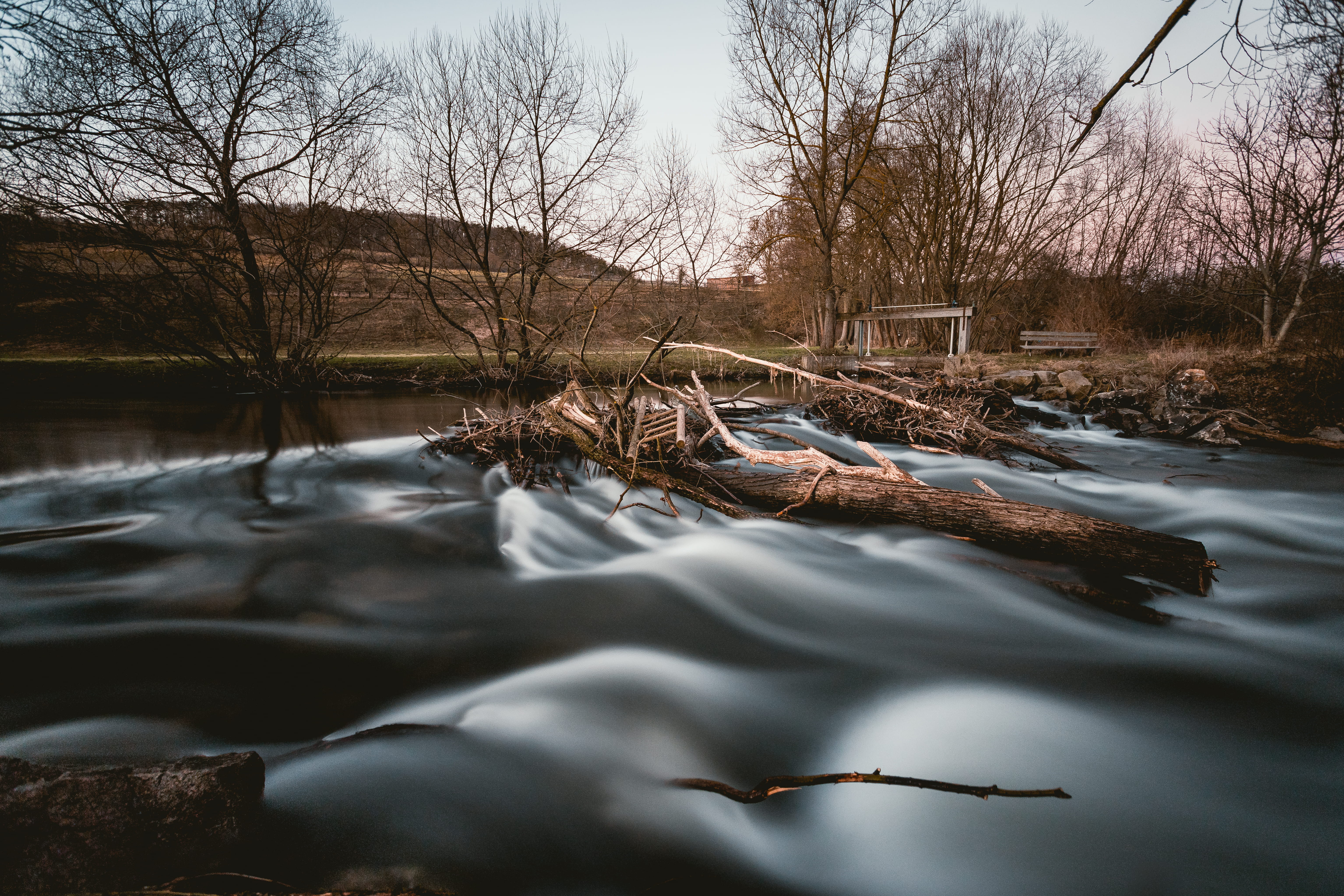 surrounded, outdoors, no people, cold temperature, land, tree, day, winter, flowing, 5K, dead plant, sky, tranquility, scenery, ditch, plant, tranquil scene, HD Wallpaper