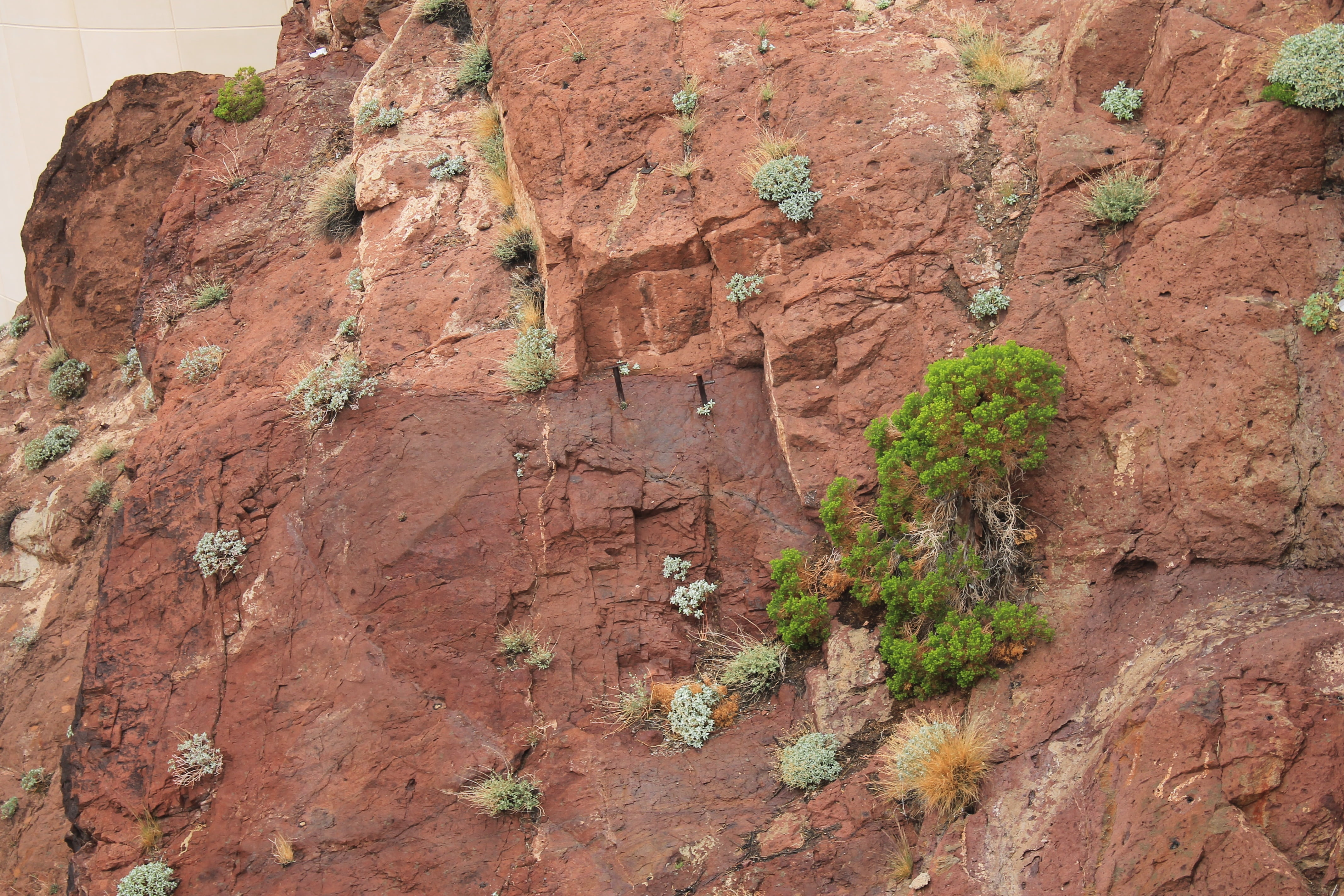 arid climate, famous, hoover dam, rock - object, technology, growth, textured, rock formation, hydroelectric, non-urban scene, cliff, bridge, mountain, HD Wallpaper