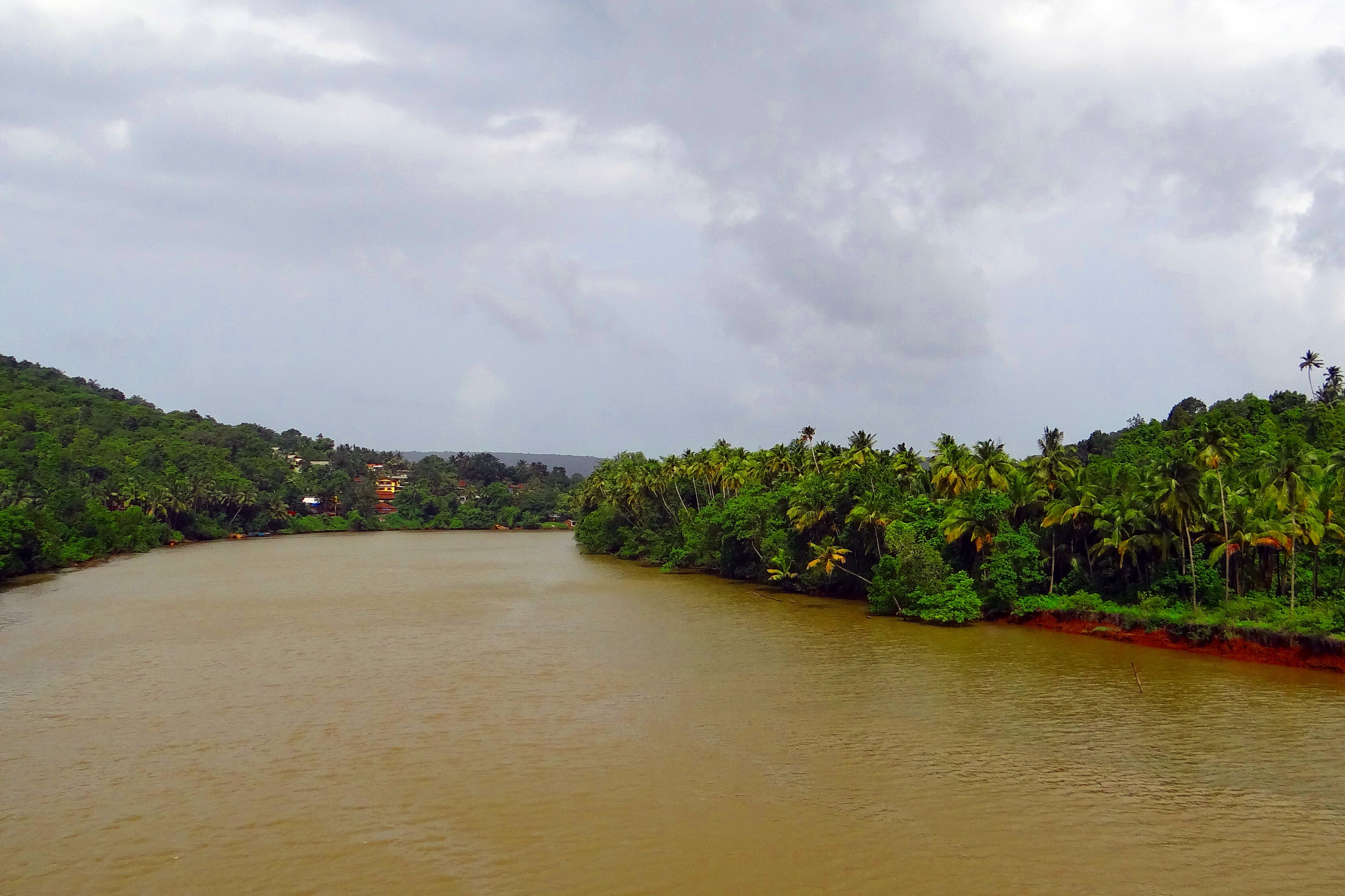 water, india, sky, day, beauty in nature, green color, outdoors, cloud - sky, goa, tidal, teracol, growth, nature, waterfront, tree, plant, land, terekhol river, HD Wallpaper
