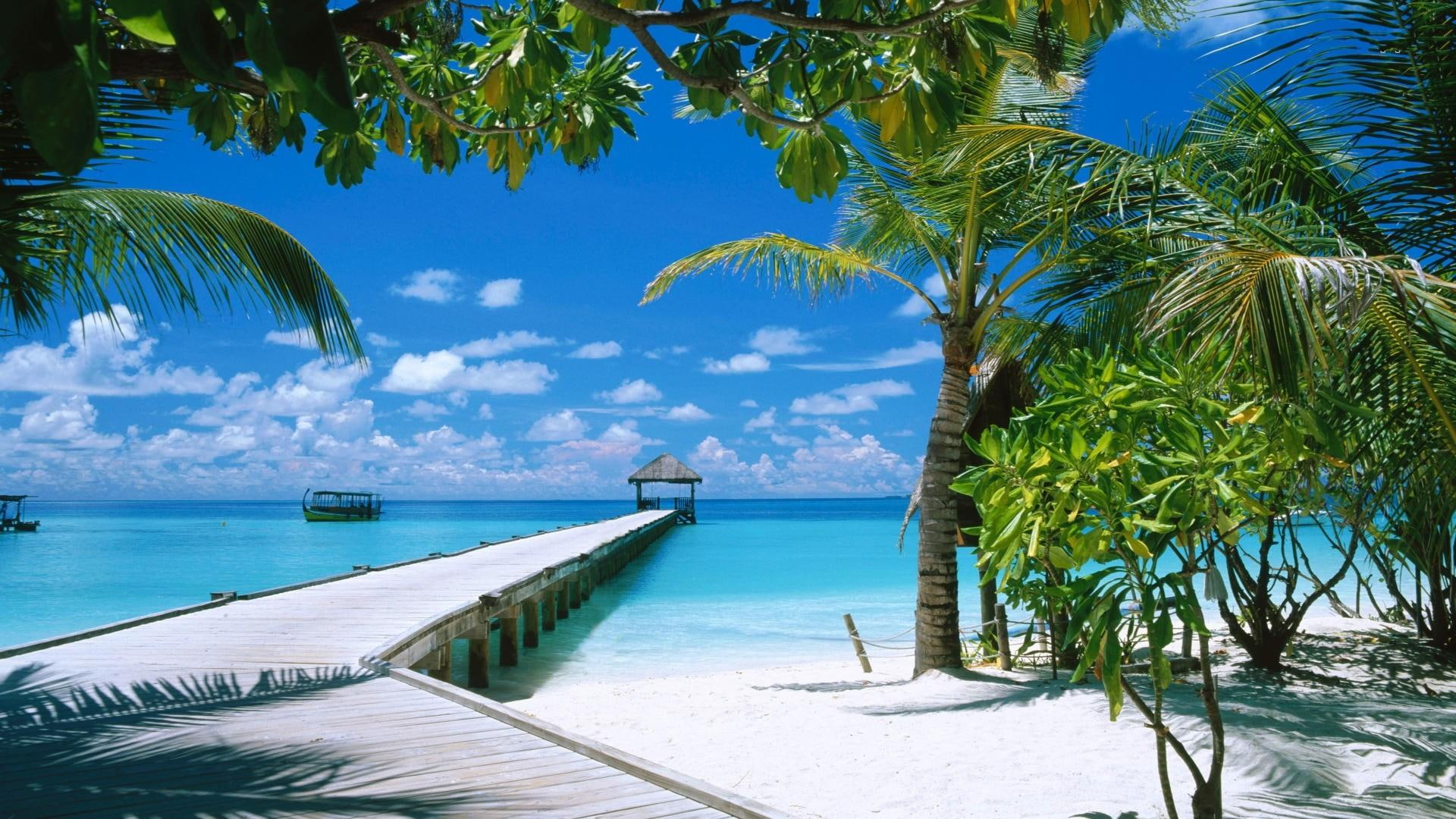 summer, white, clear, blue, ocean, trees, water, photography, nature, beach, sand, 1080P, wish, tropical, HD Wallpaper