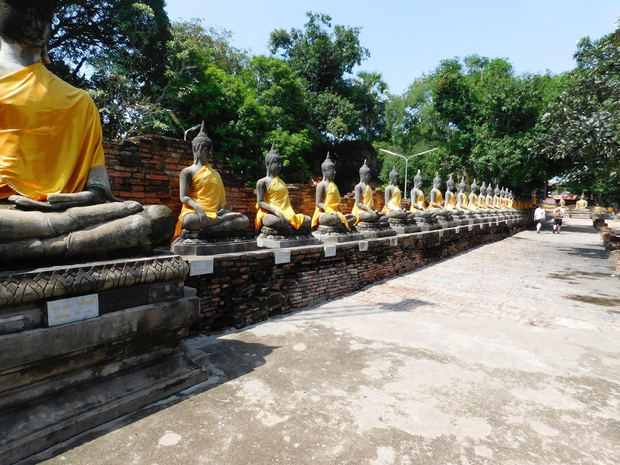 no people, art and craft, ayutthaya, built structure, 1080P, plant, nature, wat, sculpture, praying, famous Place, day, architecture, human representation, HD Wallpaper