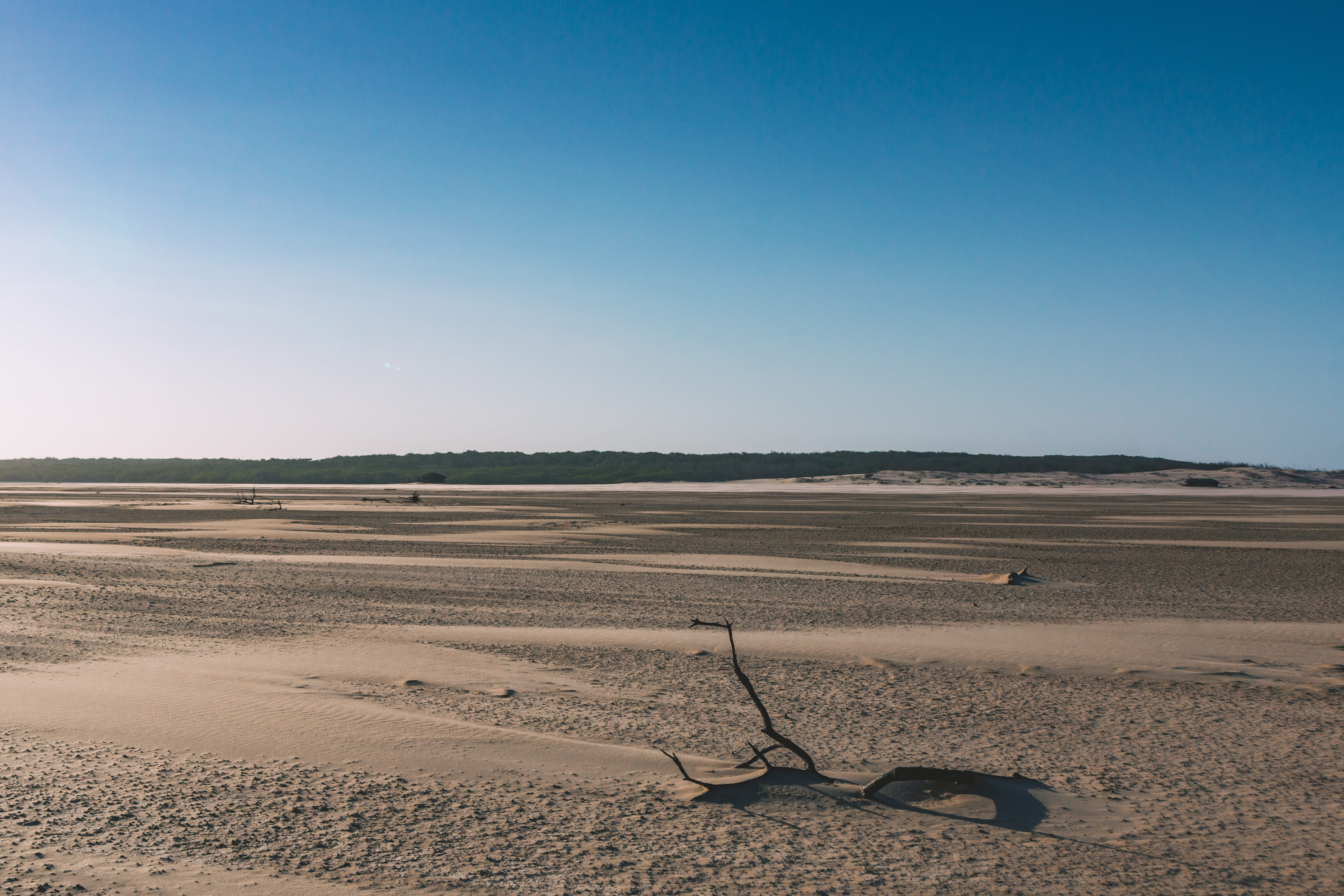forest, sand, desert, 5K, branch, landscape, flat, day, scenics - nature, environment, salt flat, climate, huts, arid climate, beauty in nature, nature, HD Wallpaper