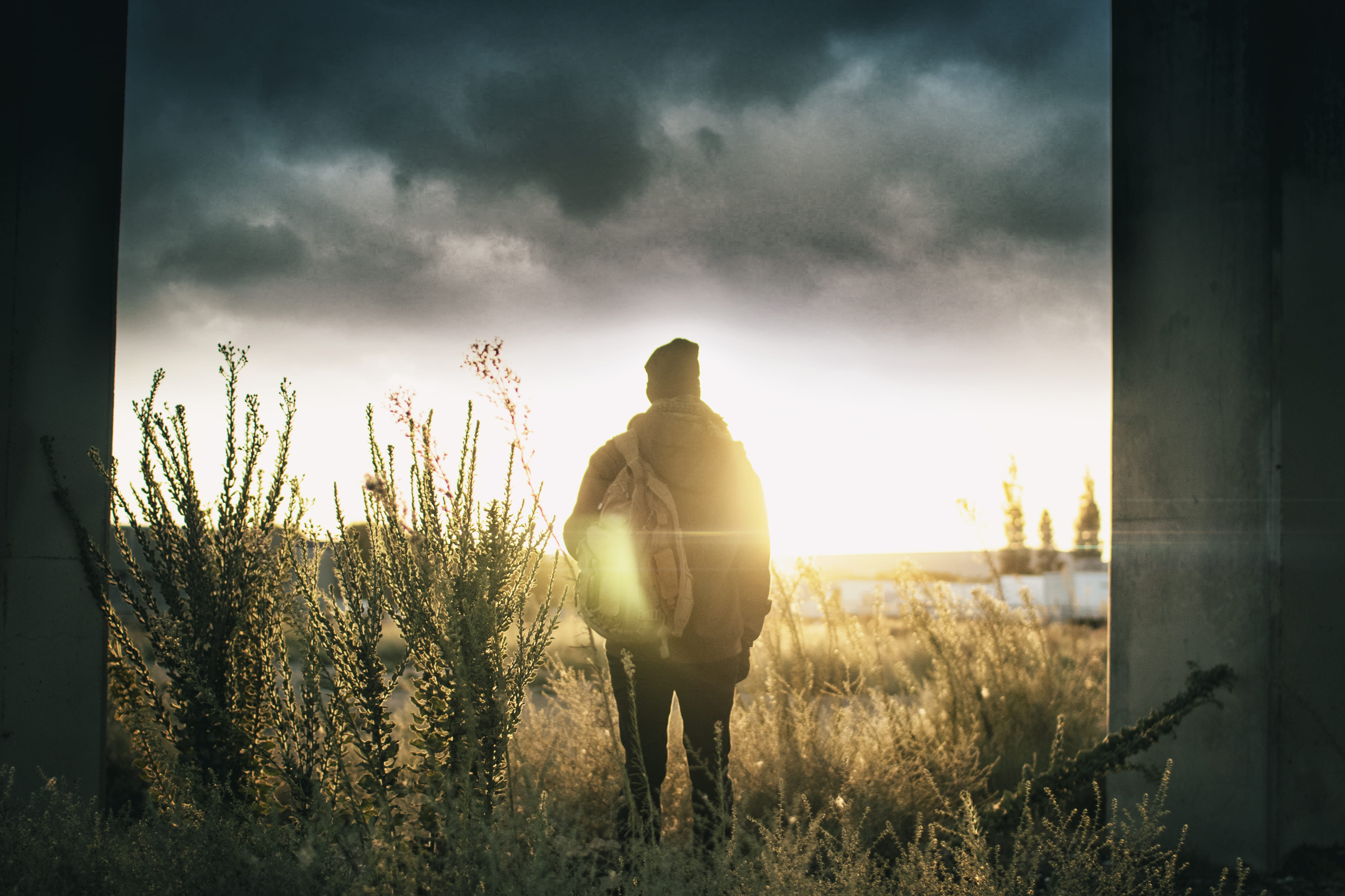 grass, wander, back lit, outdoors, sunset, landscape, plant, wanderer, homeless, nature, dramatic sky, wasteland, drifter, sunlight, dramatic, horizon, HD Wallpaper