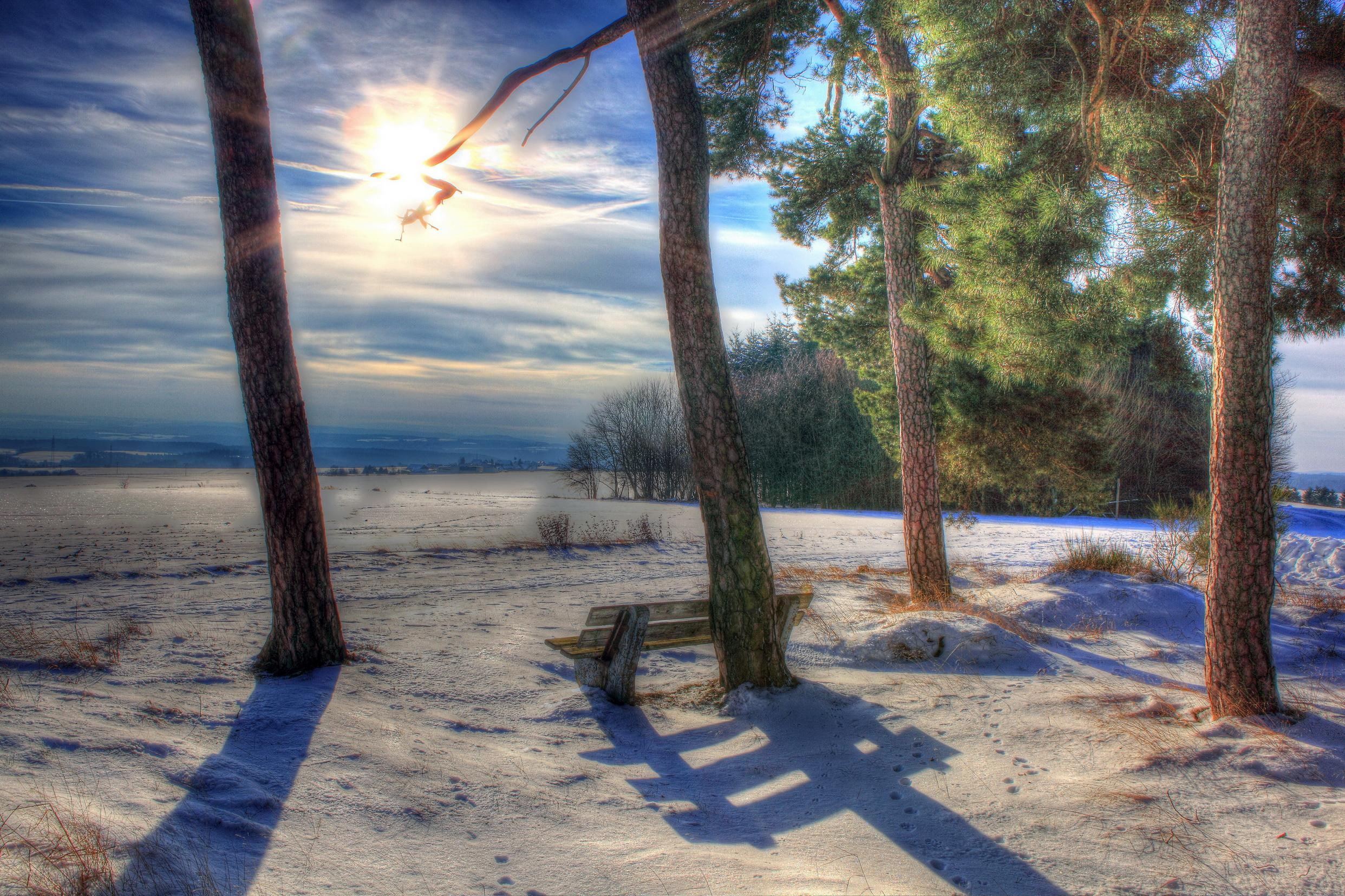 festival, beautiful sunshine in morning, new year, snow, stree, frosty, beautiful, calm, pretty, morning, sunshine, 1080P, holidays, cold, HD Wallpaper