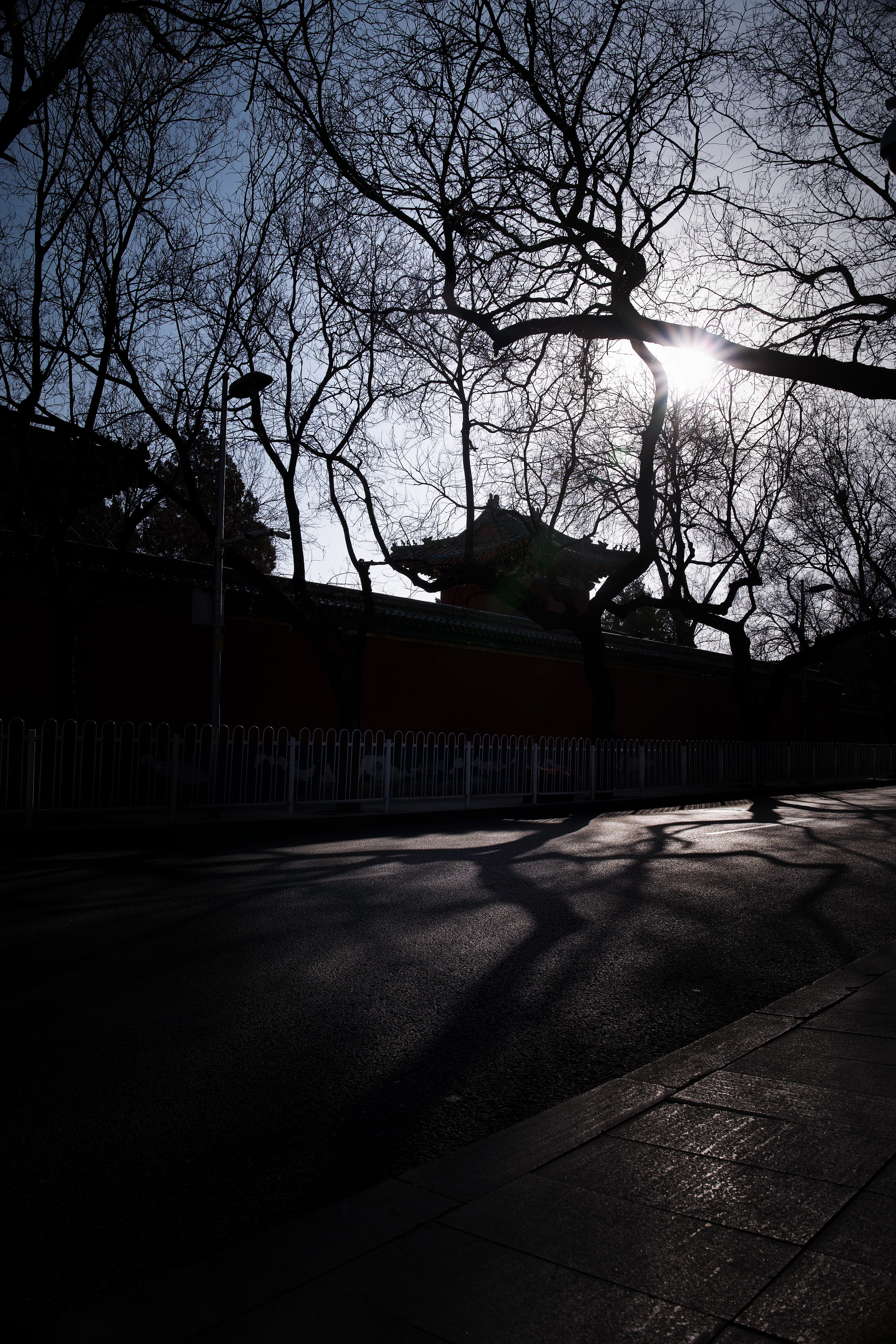 beijing, building, 5K, shadow, day, winter, outdoors, no people, city, plant, china, sunlight, silhouette, road, stree, built structure, transportation, Phone HD Wallpaper