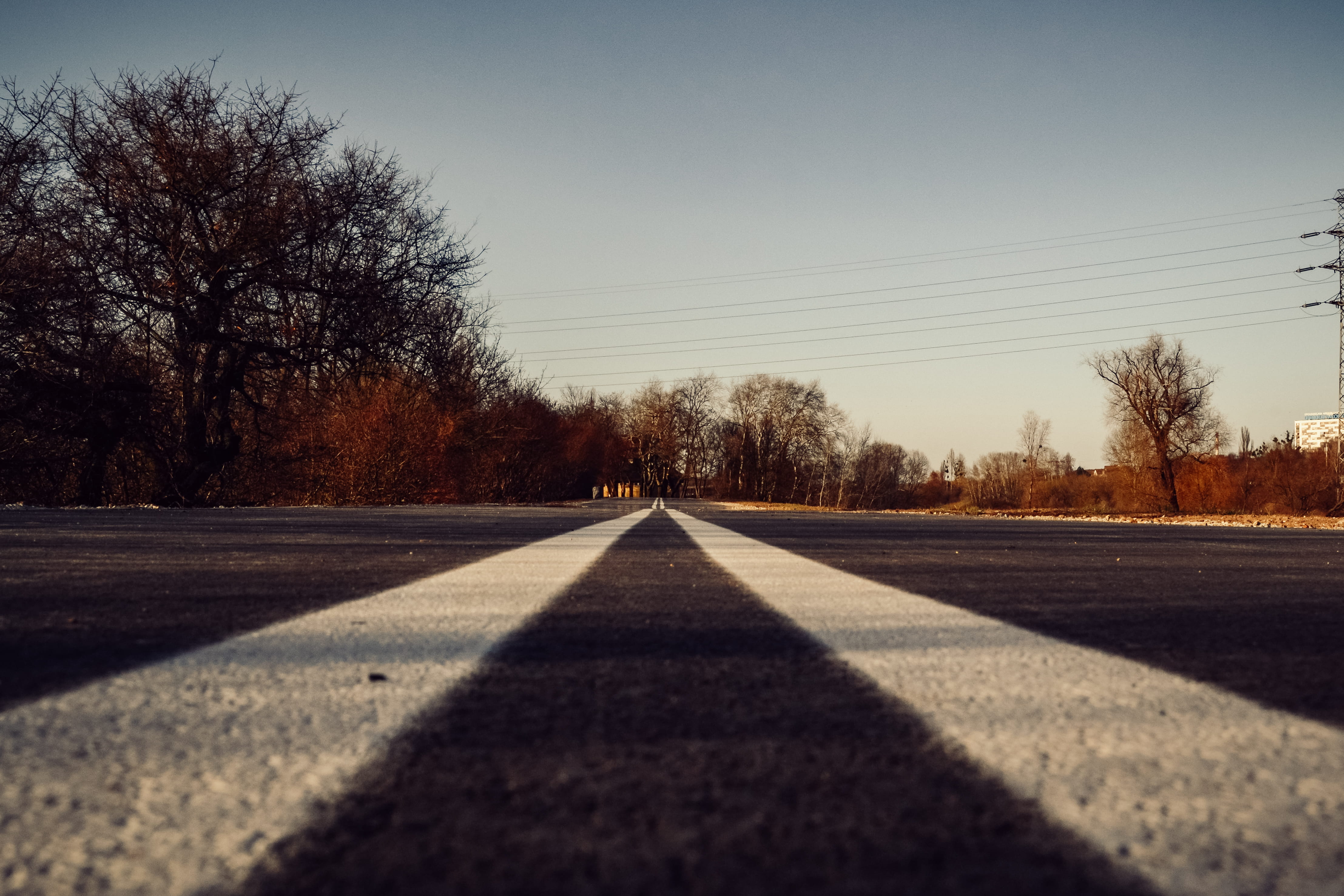sunlight, day, white, no people, vanishing point, strees, diminishing perspective, asphalt, spring, outdoors, the way forward, 4K, sky, symbol, trees, HD Wallpaper