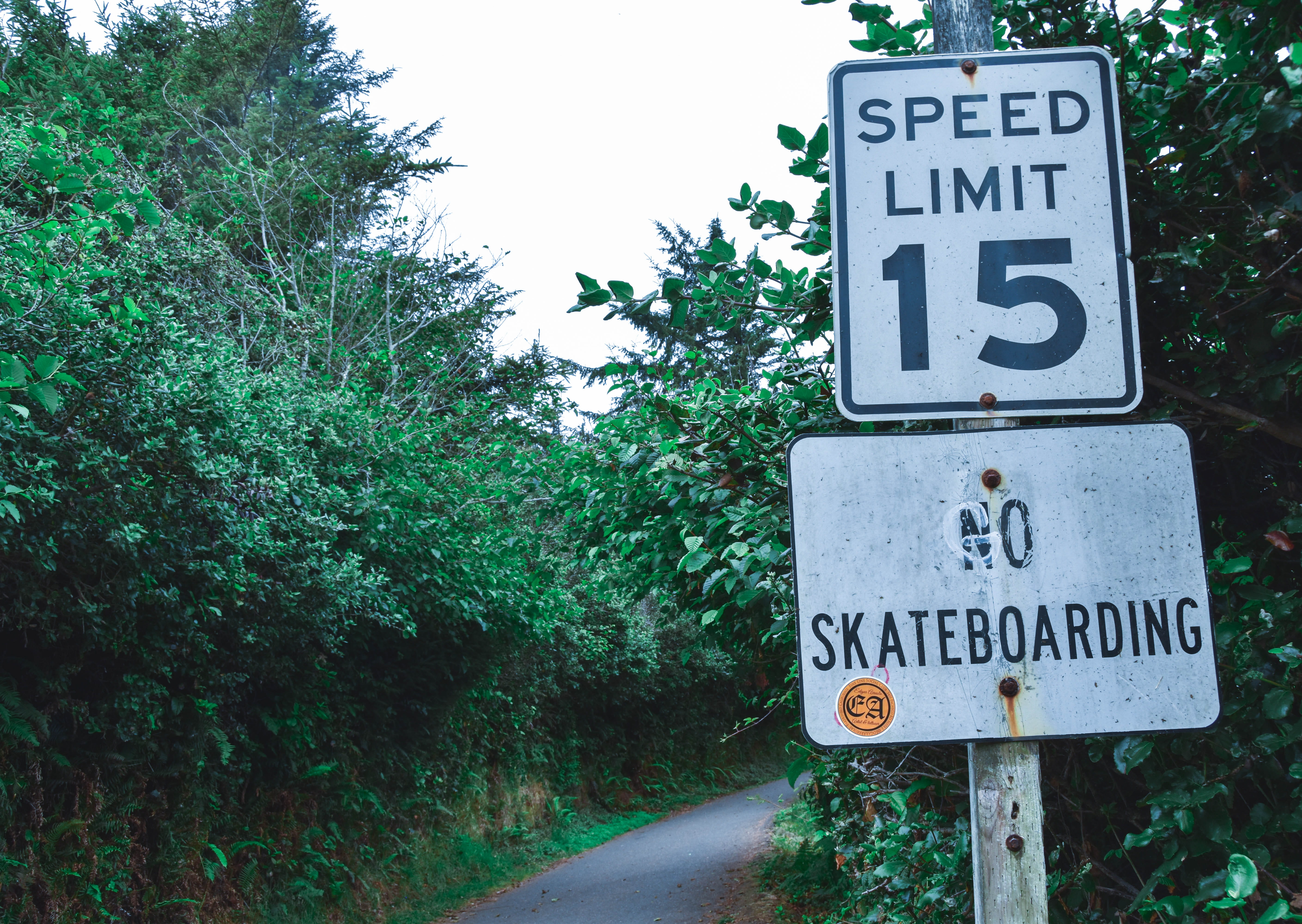 signages, sign, growth, forest, day, information, united states, number, no skateboarding, ivy, two, speed, skater, trinidad state beach, information sign, HD Wallpaper