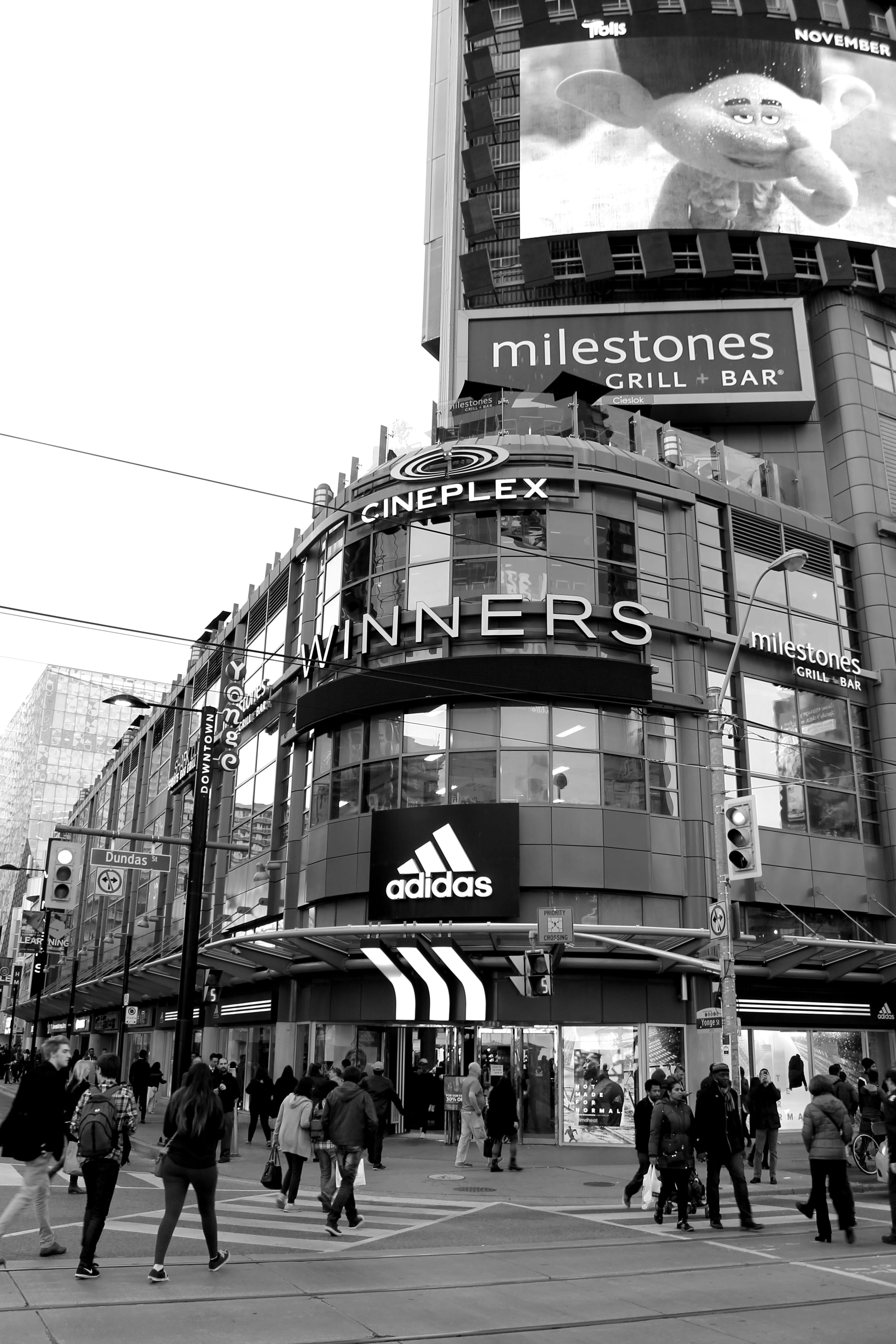 built structure, western script, crowd, canada, adidas, views, group of people, sign, milestones, yonge stree, women, communication, winners, city, real people, Phone HD Wallpaper