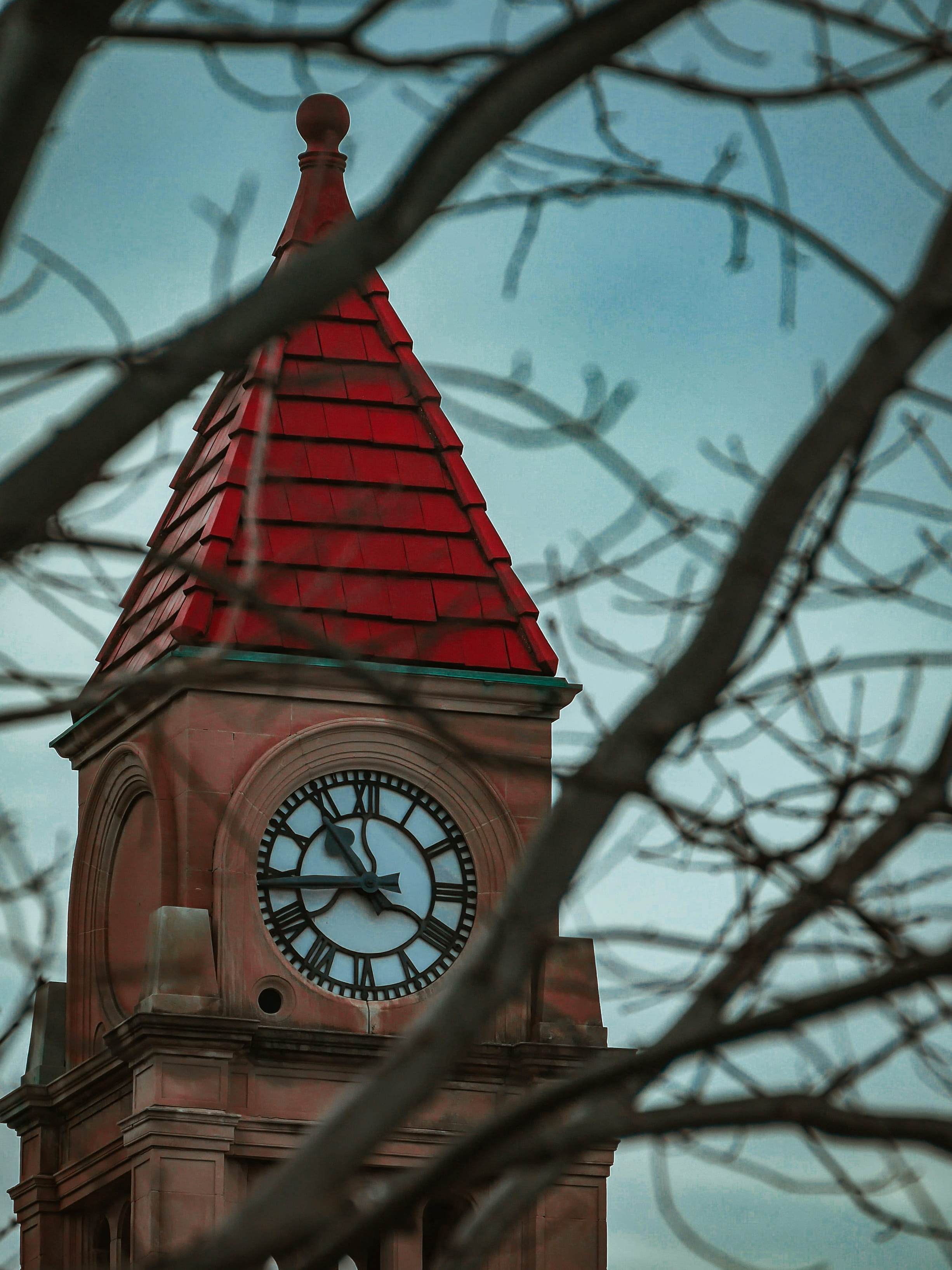 coupe, tower, red, selective focus, no people, tree, time, building, city, built structure, sky, minute hand, outdoors, clock tower, day, bare tree, plant, Phone HD Wallpaper