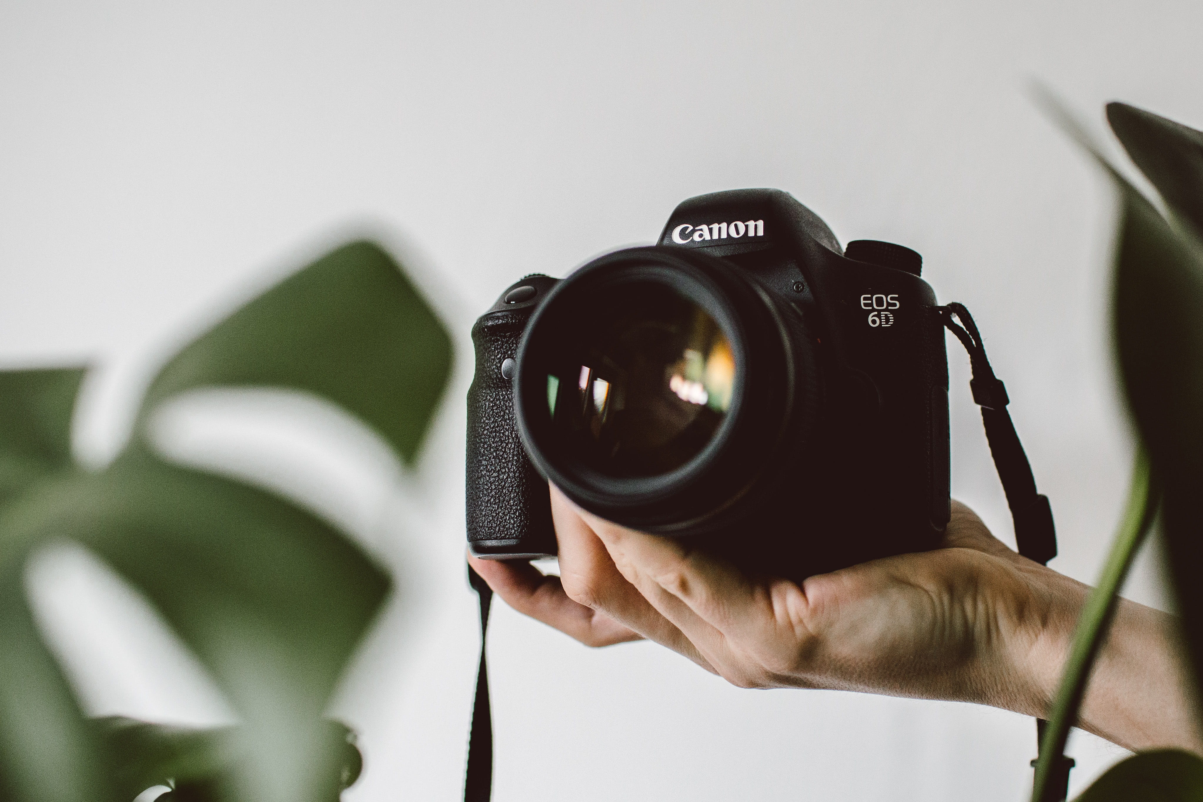 holding, camera - photographic equipment, canon, diamond, technology, photography, video camera, lens - optical instrument, camera lens, occupation, plants, HD Wallpaper
