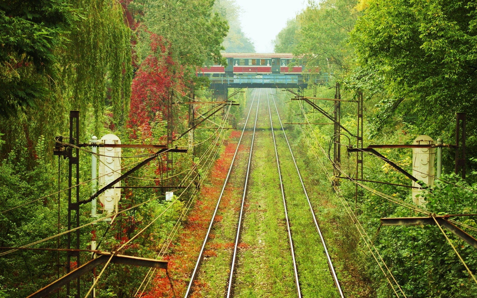rails, red, brown, 1080P, railroad, overgrowth, nature, hd, train, HD Wallpaper