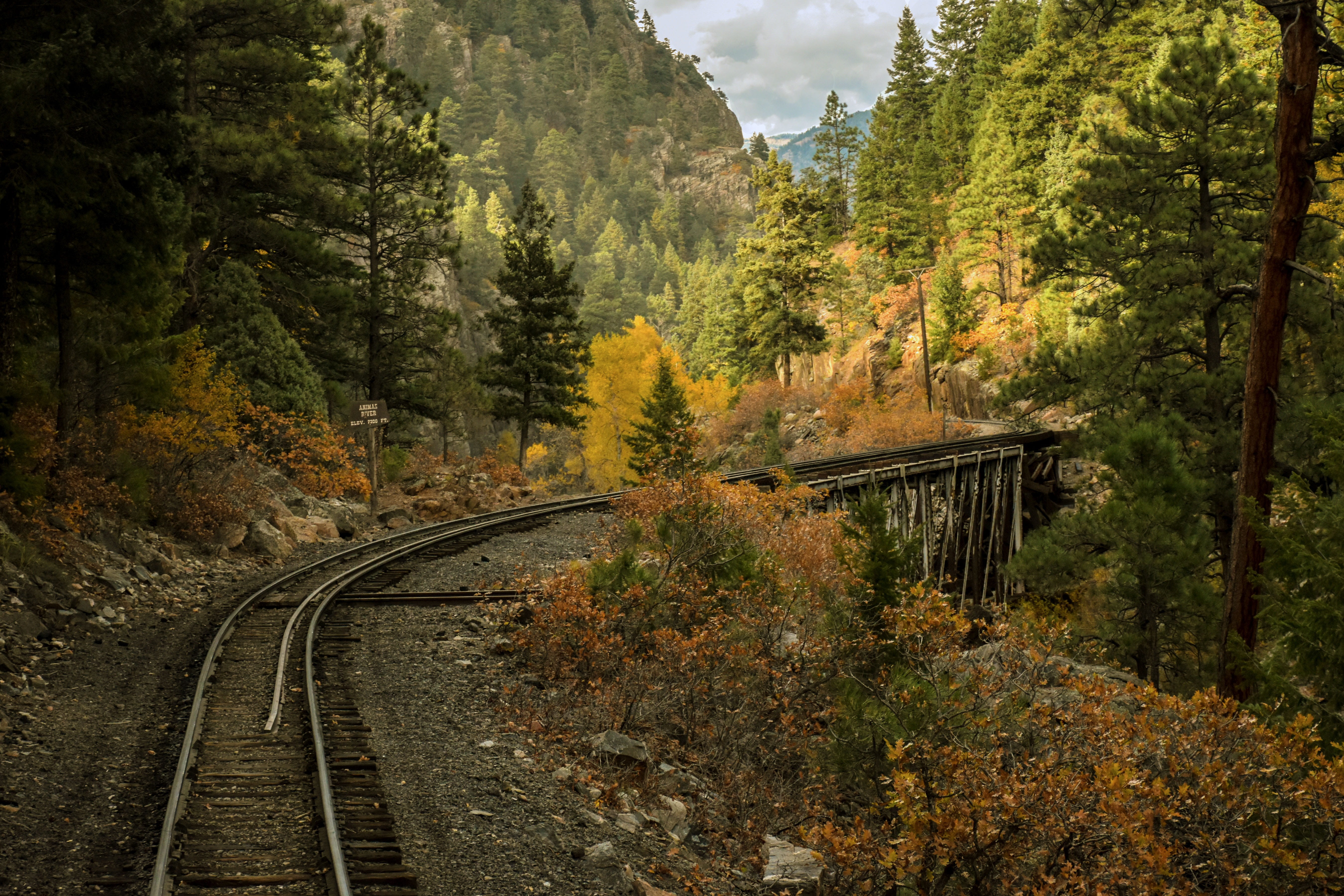 narrow guage railroad, growth, mode of transportation, direction, railroad, railroad Track, landscape, tree, land, 5K, travel, tranquility, Railroad Bridge, HD Wallpaper