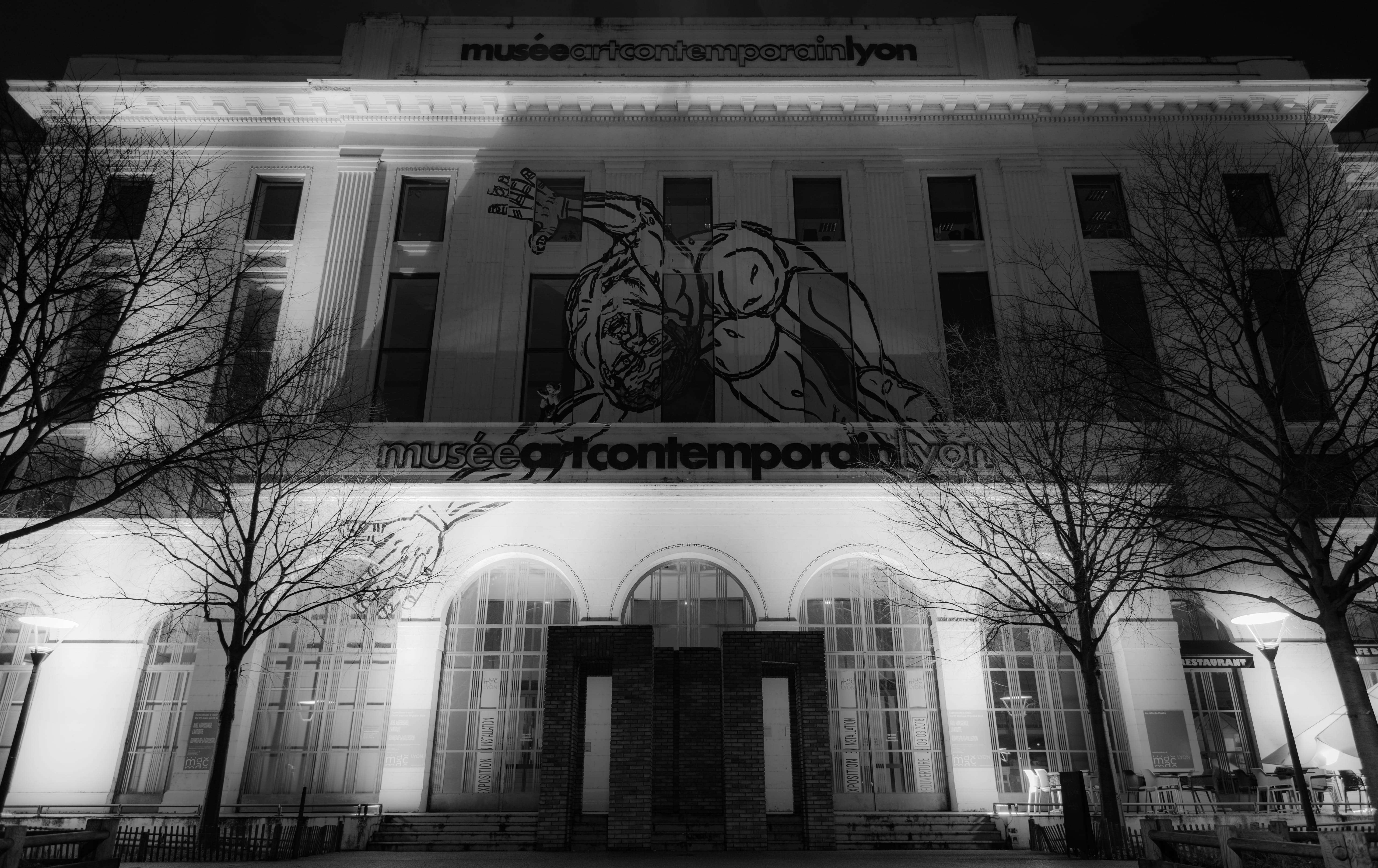 human representation, onlylyon, black and white, creativity, art contemporain, day, 81 quai charles de gaulle, nature, tree, france, text, plant, building exterior, HD Wallpaper