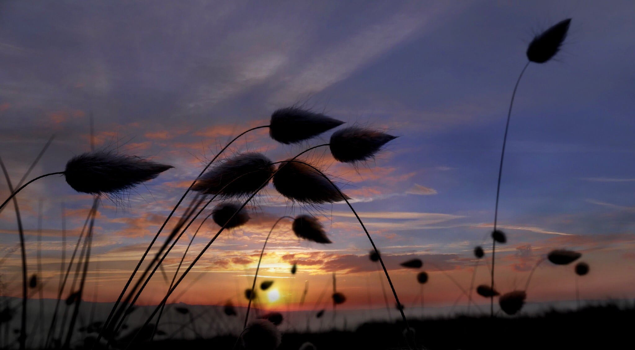 sunlight, beauty in nature, outdoors, sunny, sunrise, horizon, rural, blue, sky, silhouette, motion, low angle view, 1080P, scenics - nature, scenery, HD Wallpaper