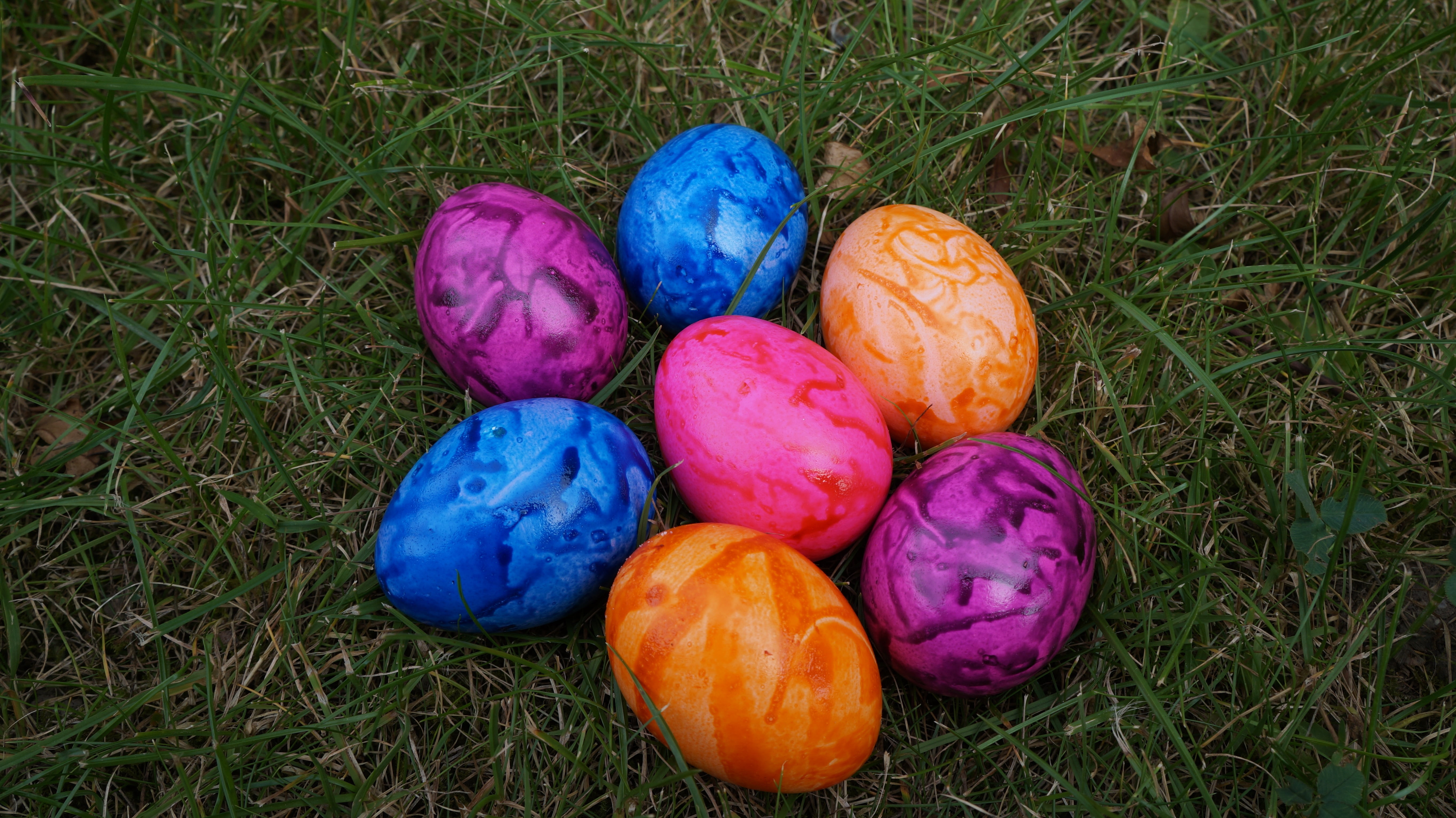 food, green color, land, colorful, painting, purple, food and drink, colorful eggs, freshness, high angle view, outdoors, grass, no people, choice, day, HD Wallpaper