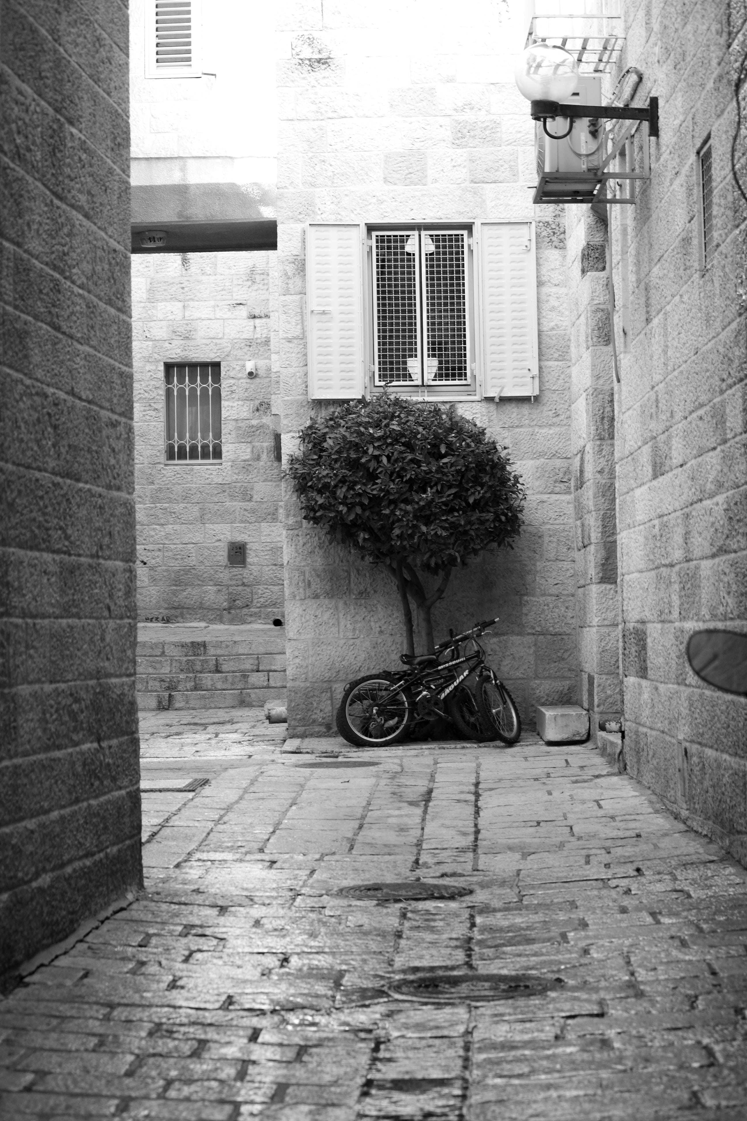 full length, 4K, rear view, building exterior, lifestyles, city, bicycles, footpath, bicycle, street, one person, land vehicle, building, holy land, built structure, Phone HD Wallpaper