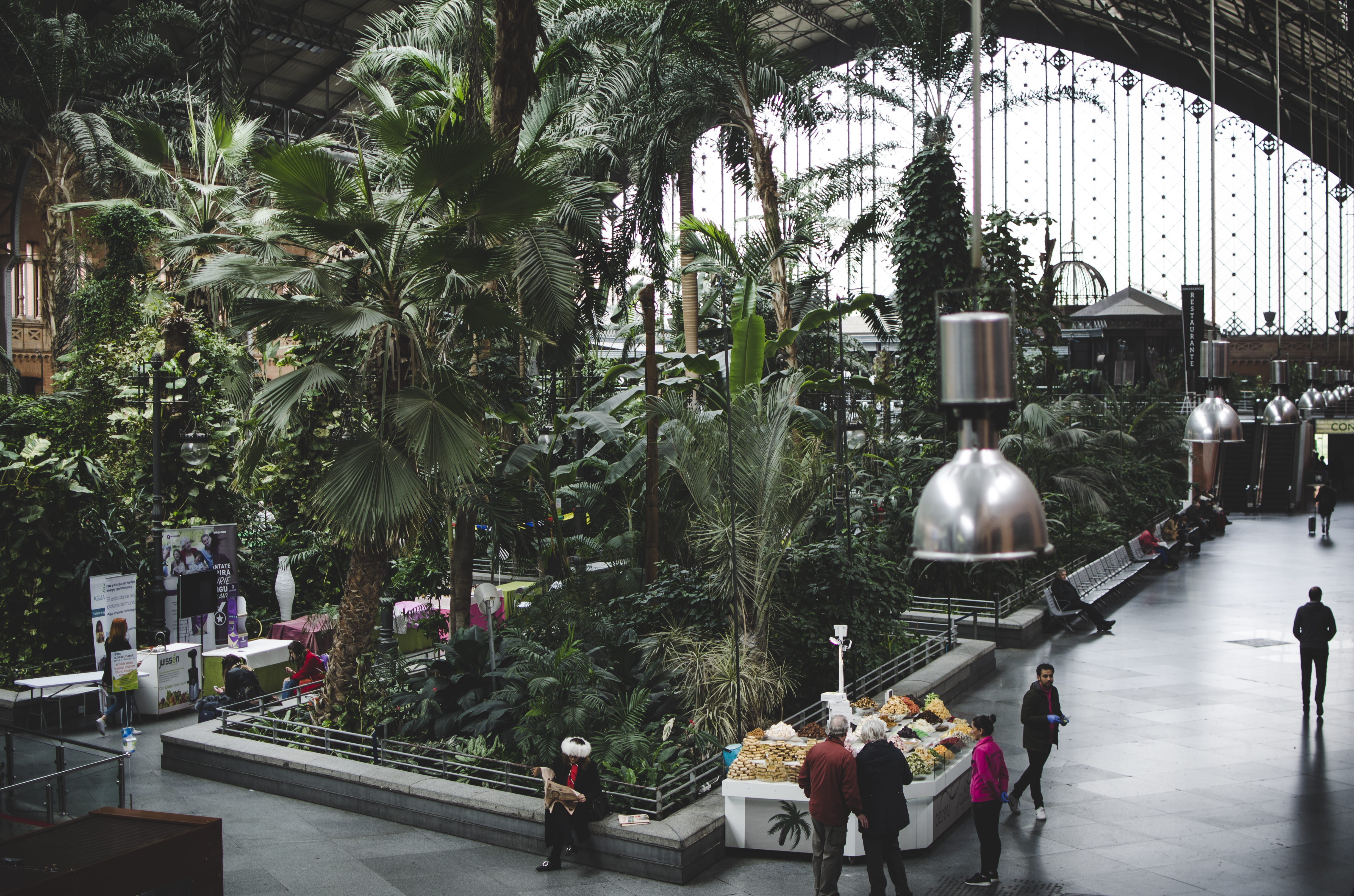 women, crowd, plant, nature, built structure, near, men, real people, tree, building, trees, tourist, architecture, travel, people, train station, building exterior, HD Wallpaper