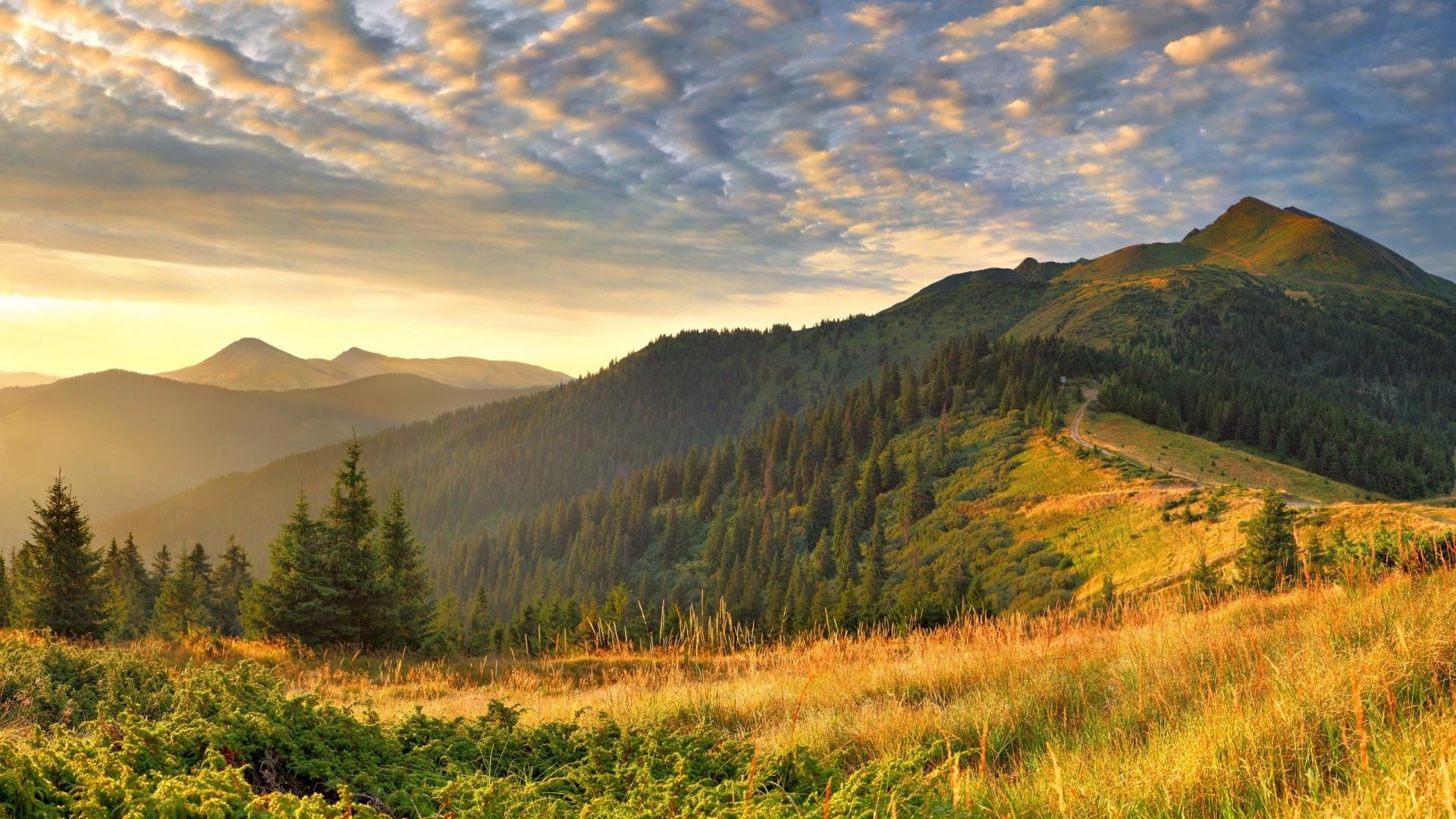 forest, meadow, mountains, 1080P, clouds, natue, nature and landscapes, wonderful, HD Wallpaper