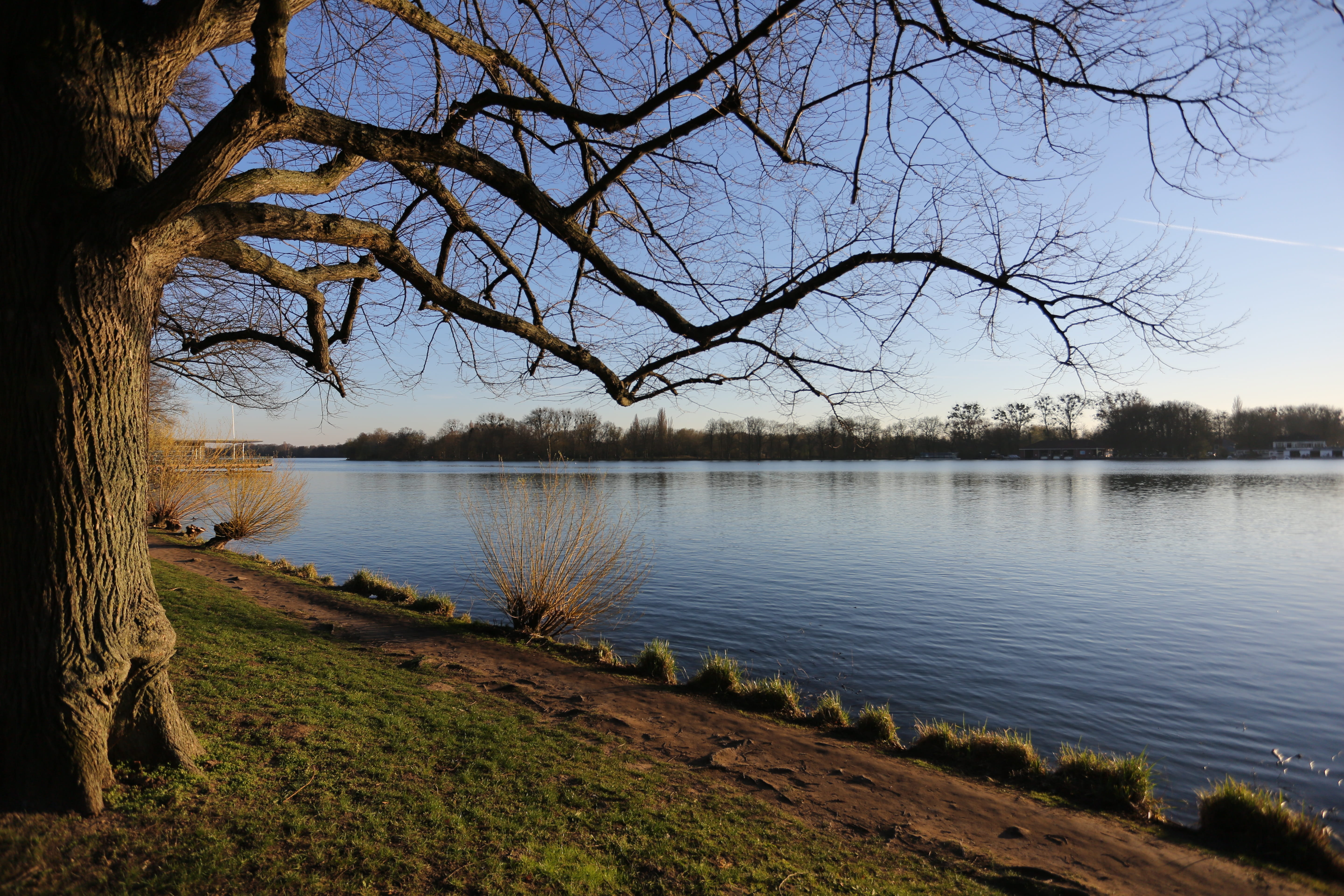 beauty in nature, idyllic, tree, beach, outdoors, tranquil scene, spring, nature, day, mood, no people, hanover, sky, lake, scenics - nature, tranquility, HD Wallpaper